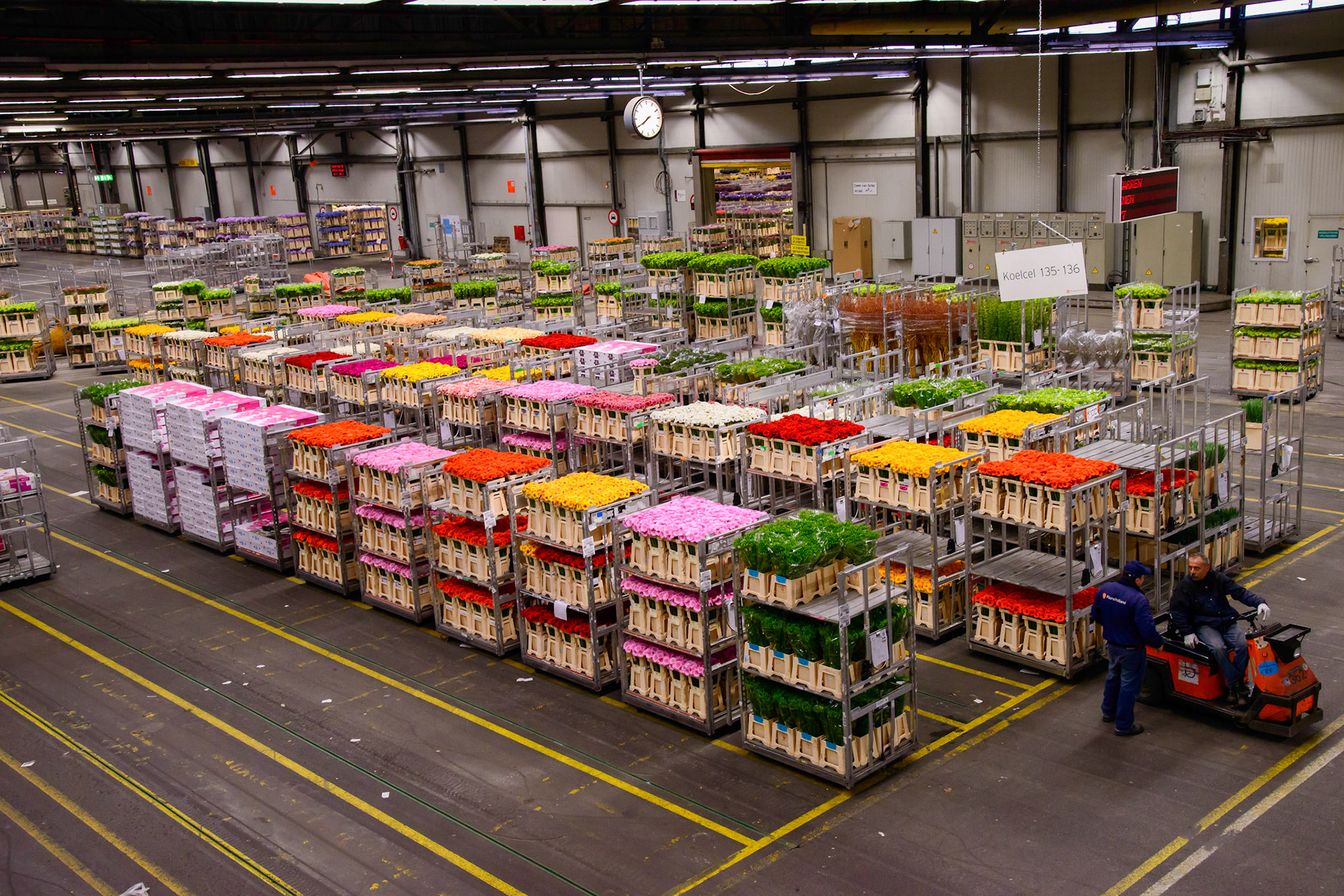 Aalsmeer Flower Auction is a flower auction that takes place in Aalsmeer, Netherlands. It is the largest flower auction in the world. The Aalsmeer Flower Auction building is the fourth largest building by footprint in the world, covering 518,000 square metres. Flowers from all over the world — Europe, Israel, Ecuador, Colombia, Ethiopia, Kenya, and other countries — are traded every day in this gigantic building.