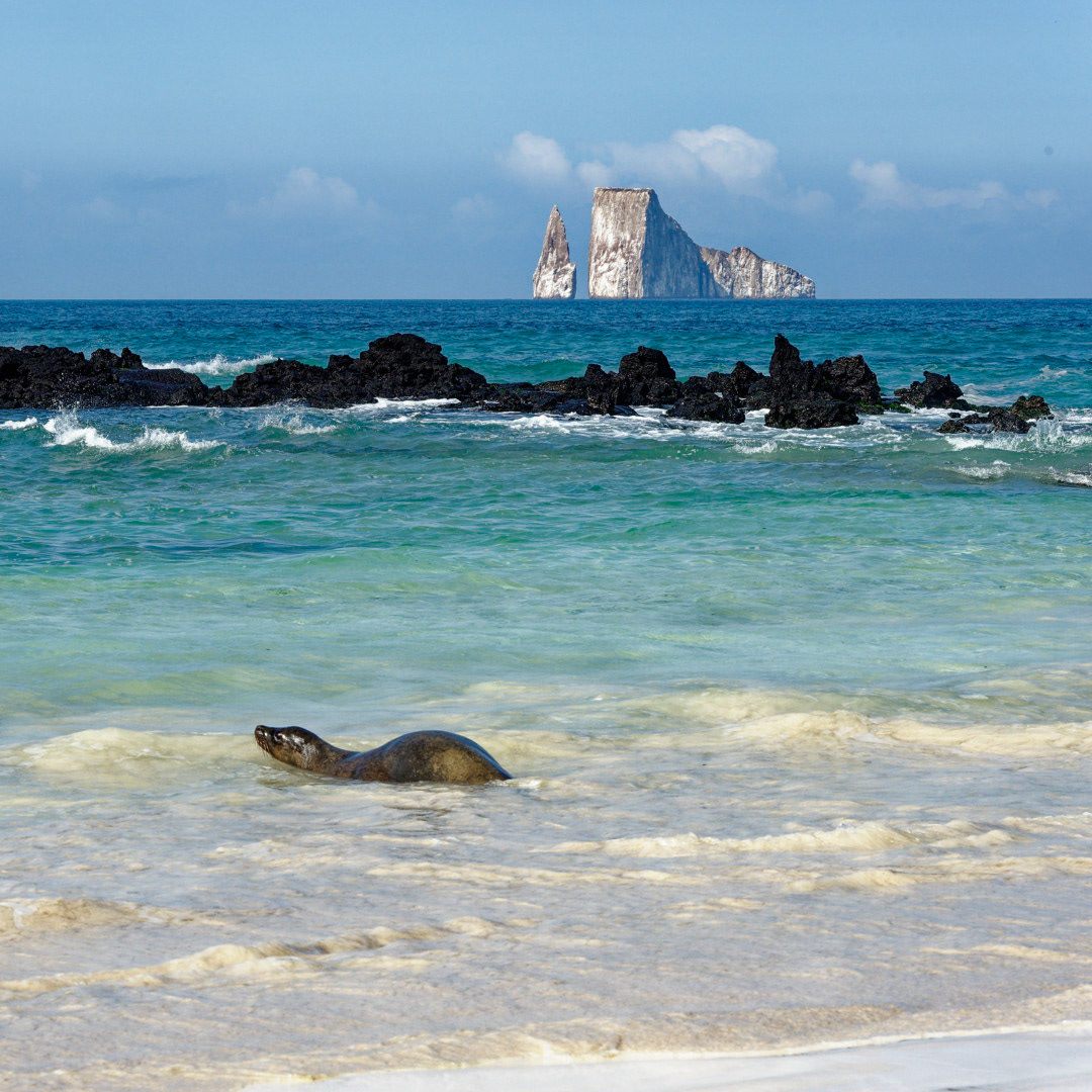 View of Kicker Rock (León Dormido) from the beach