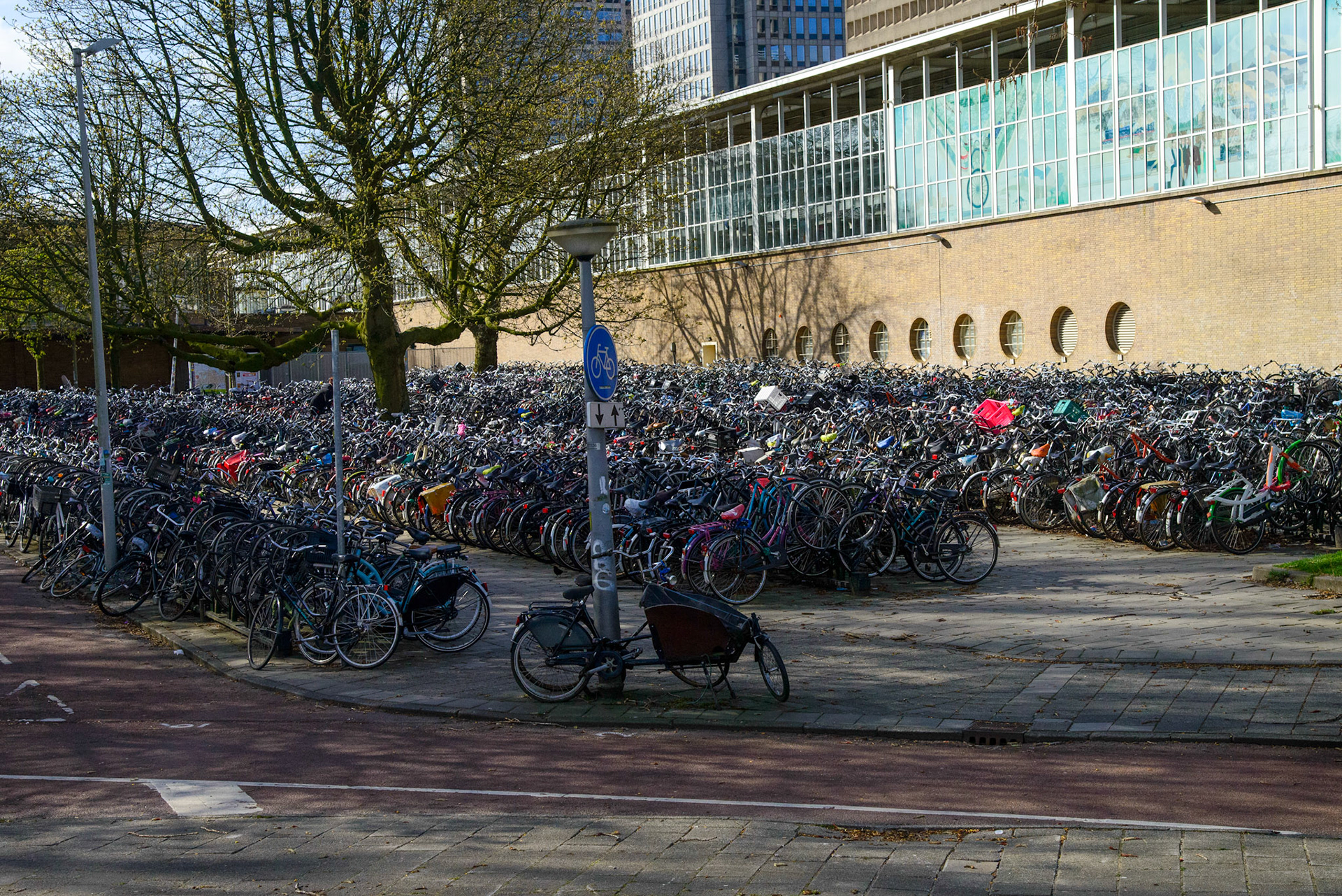 Just a few of the Bikes in Amsterdam!