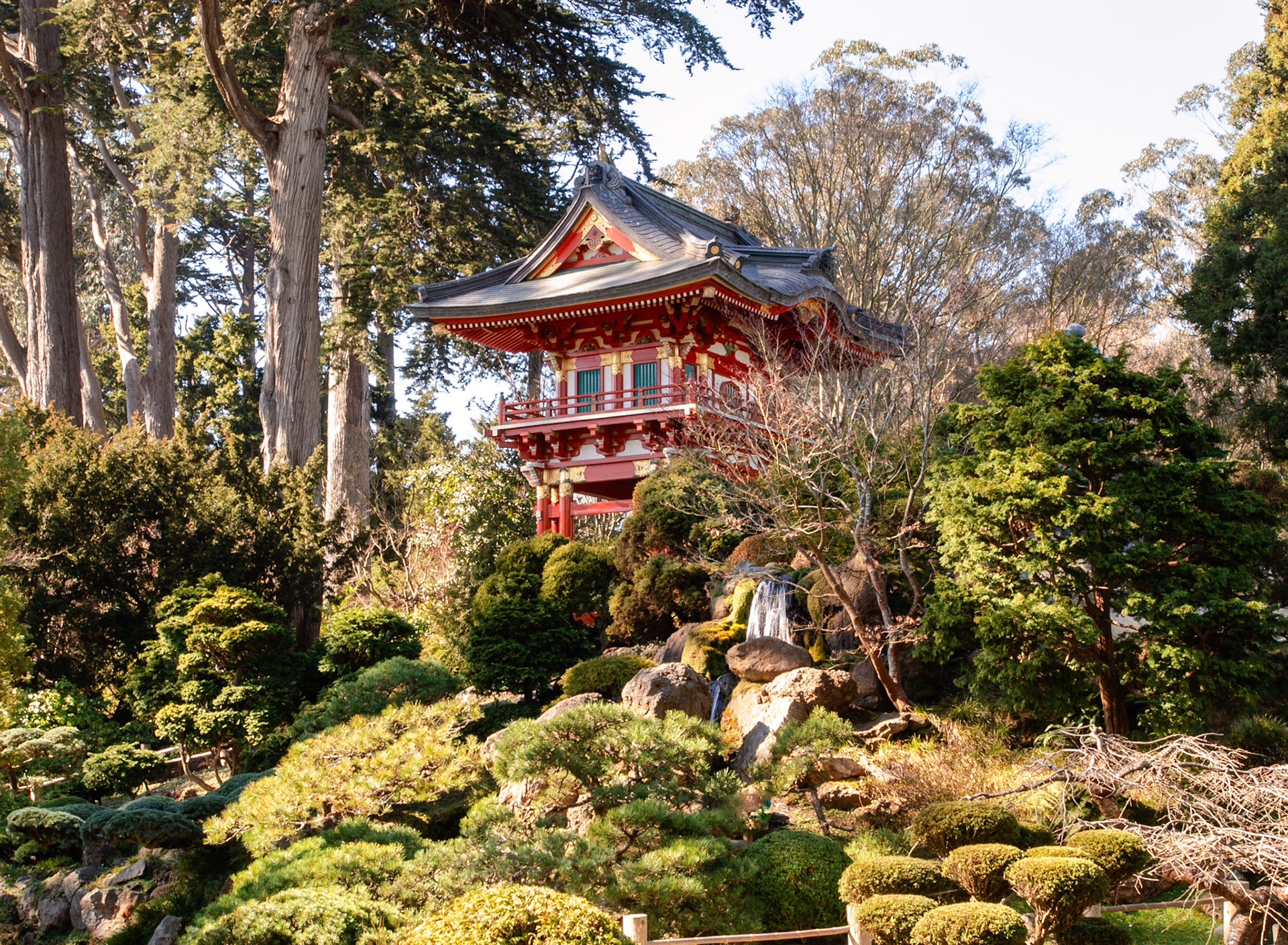 SF Japanese Tea Garden