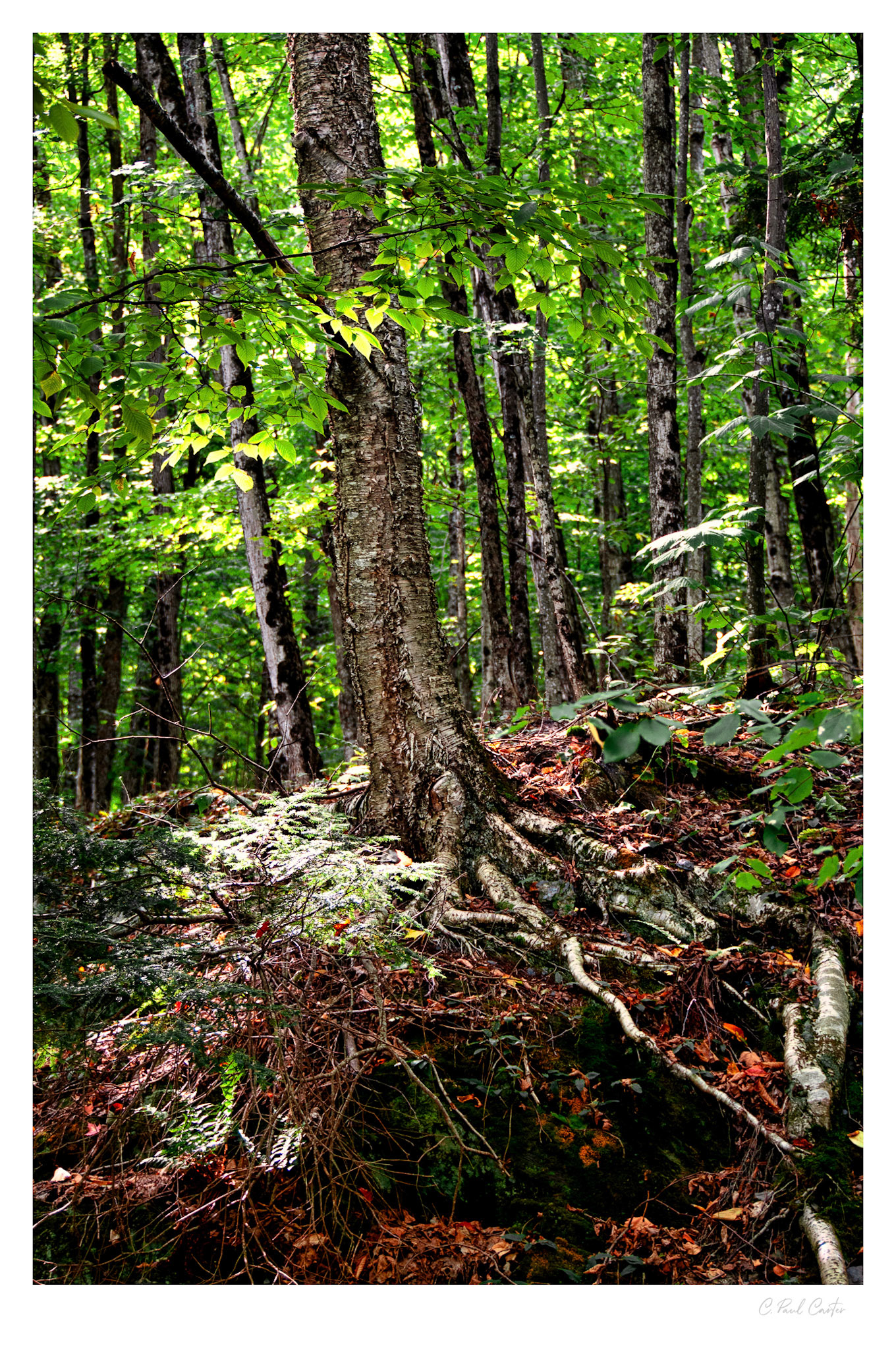 Lake Memphremagog, QC