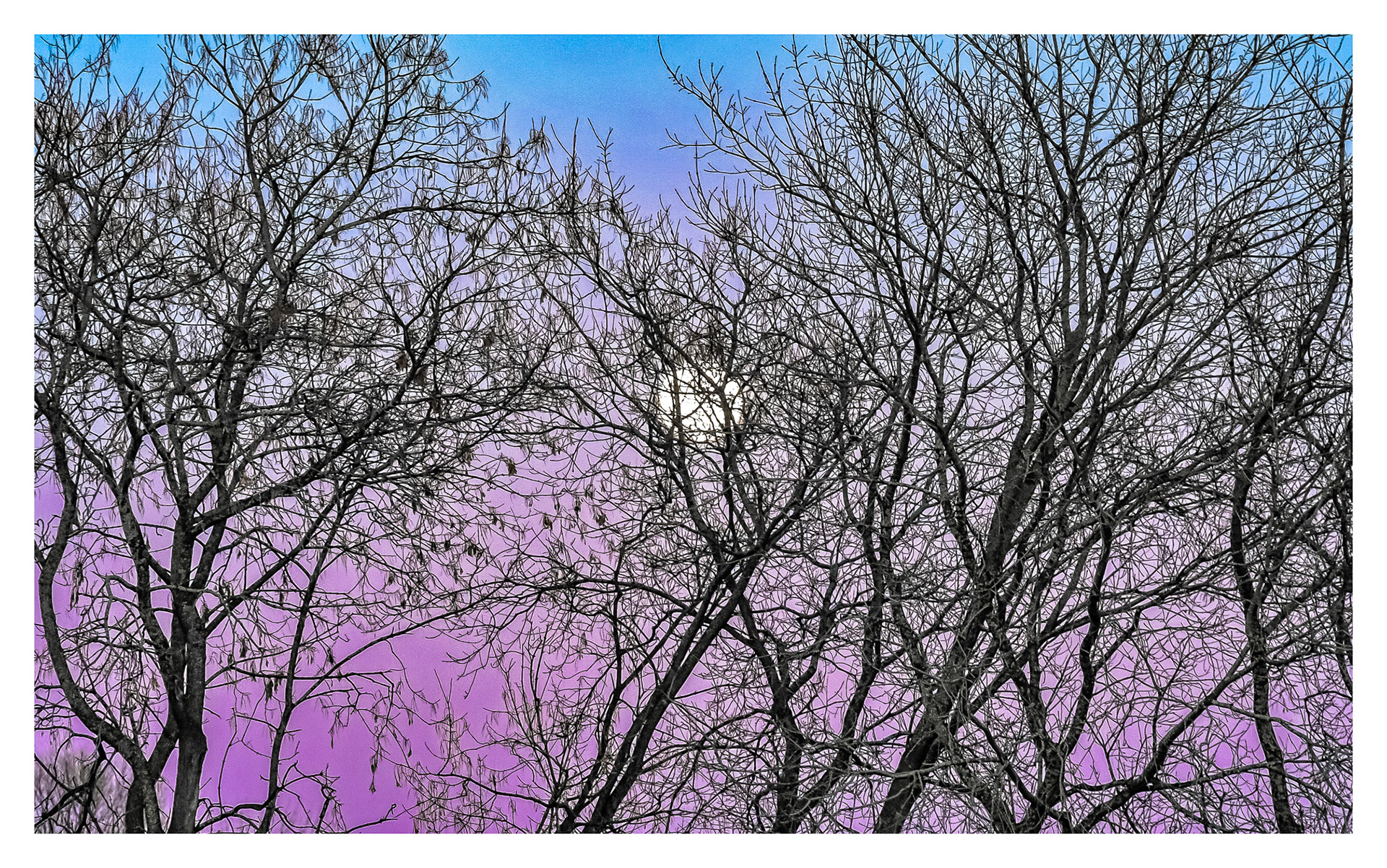 Moonrise - WInter, Kirkland, QC