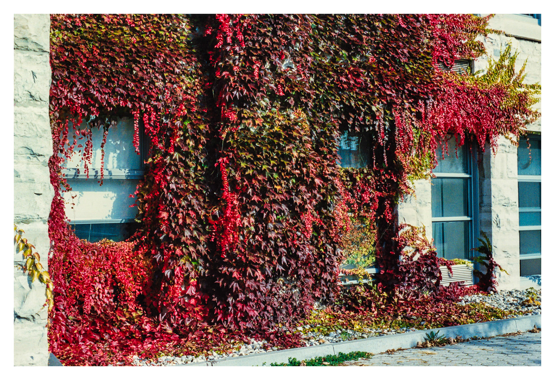 Queen's University, Kingston, ON