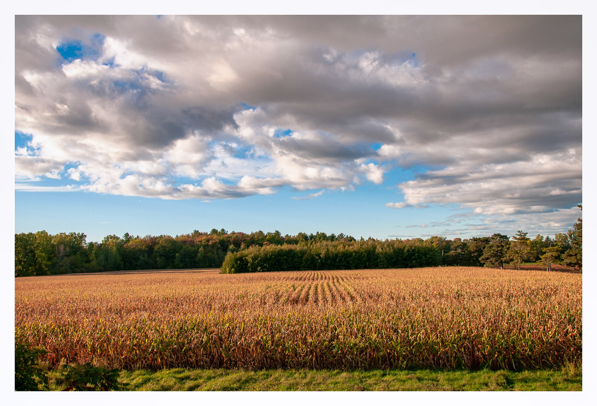 MacDonald College - Saint-Anne-de_Bellevue, QC