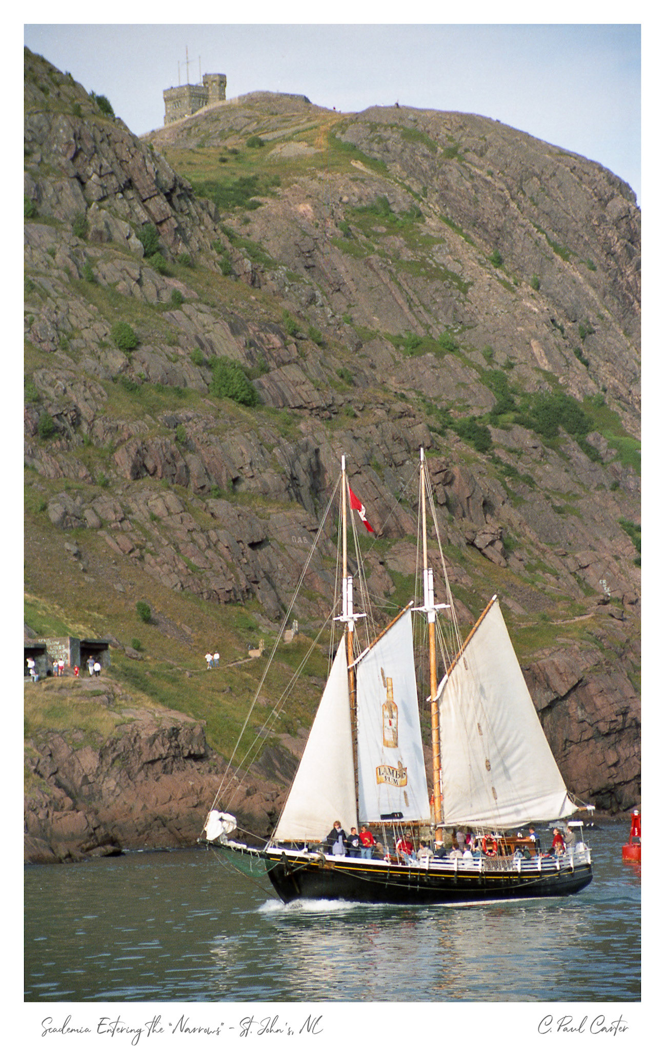 Scademia entering the Narrows