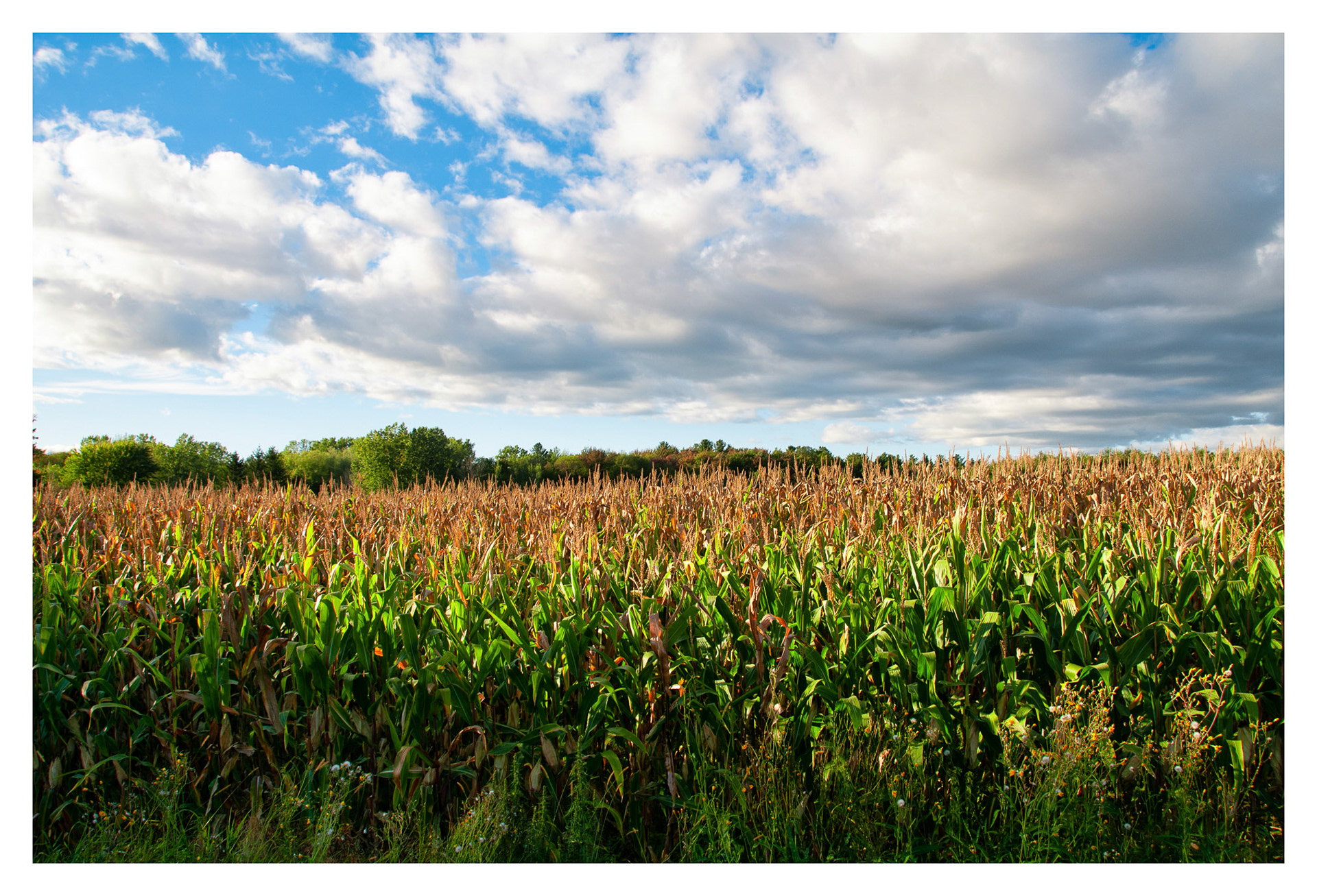 MacDonald College - Saint-Anne-de_Bellevue, QC