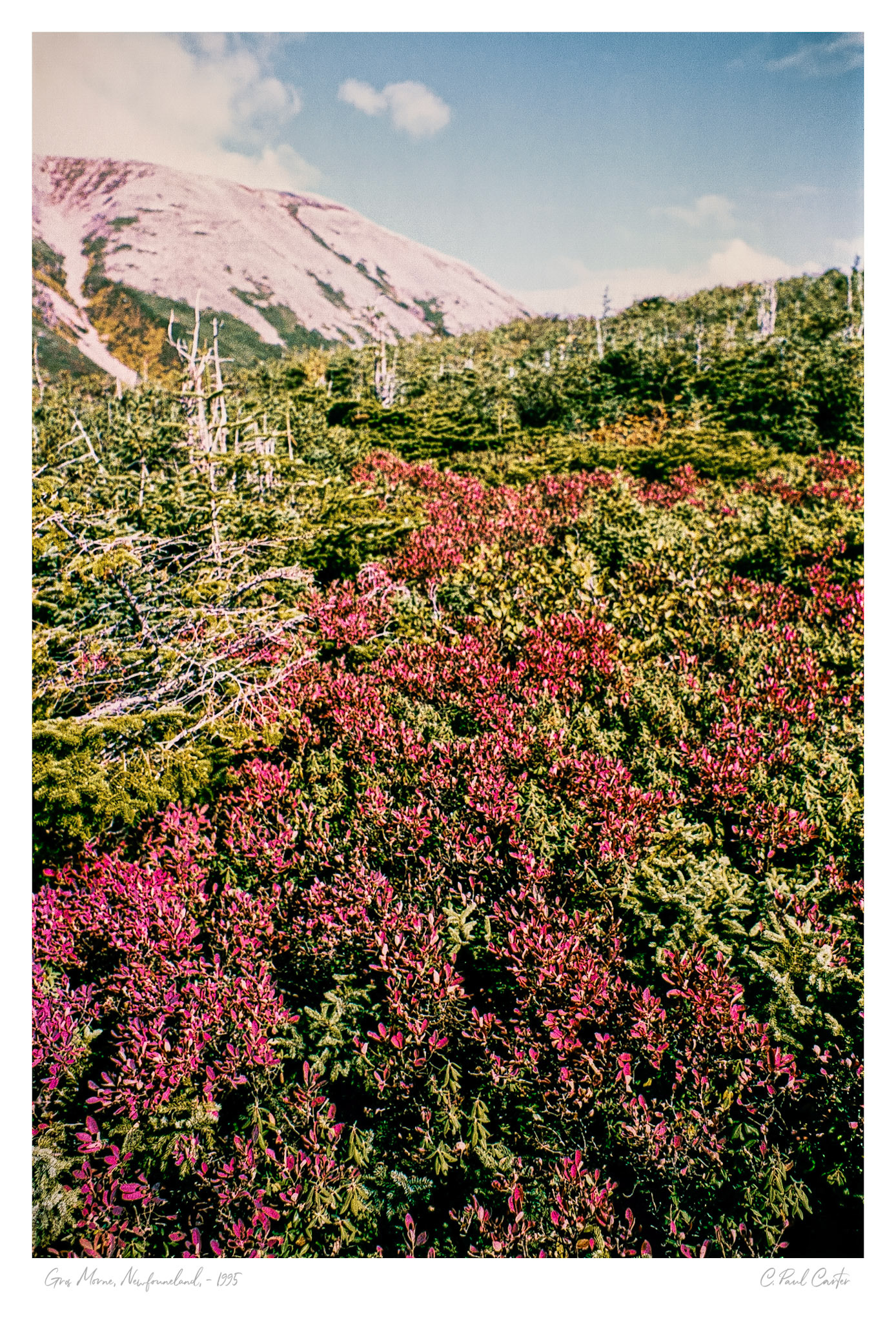 Gros Morne, NL