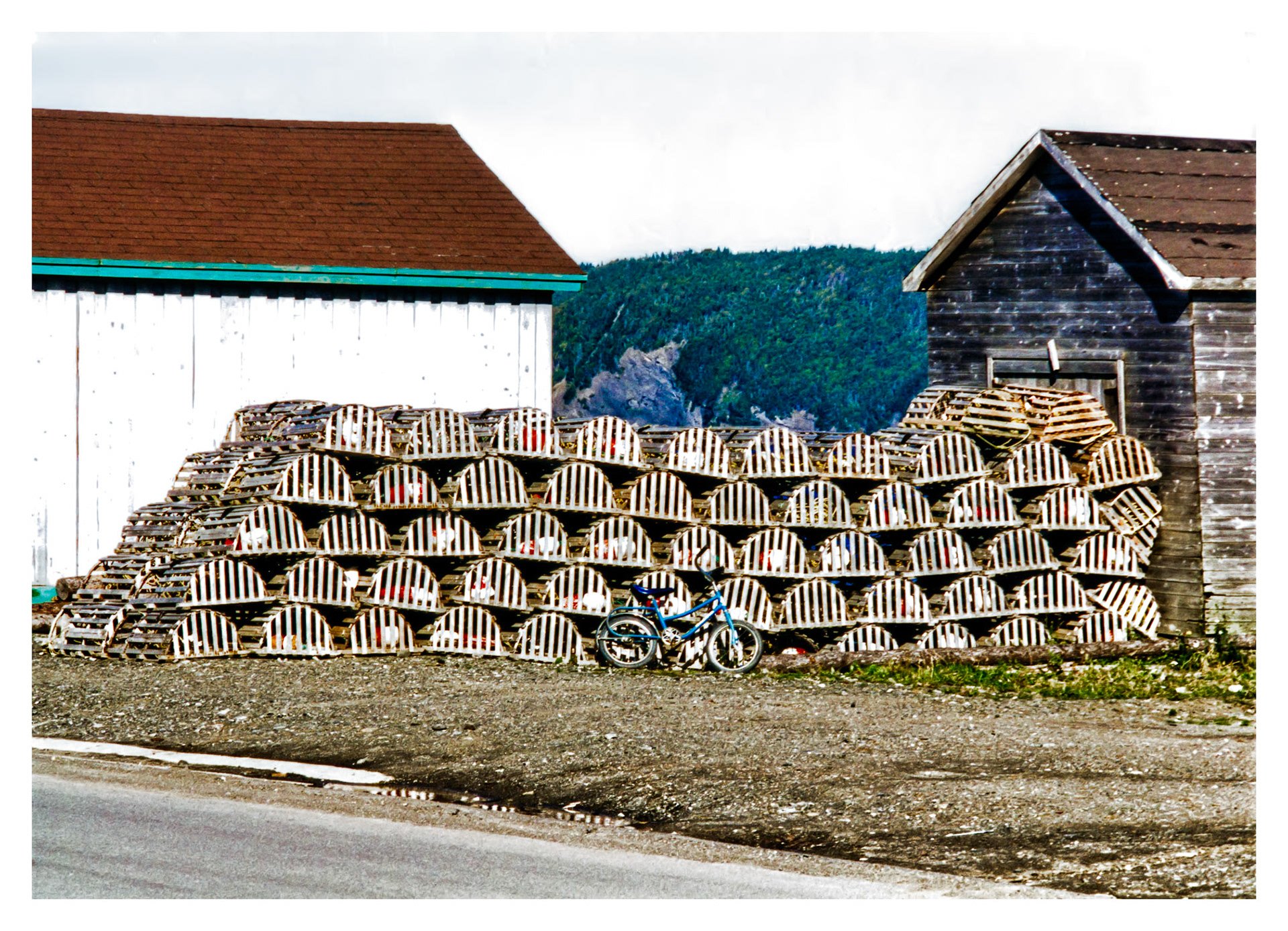 Bike 'n Traps - Bay of Islands, NL