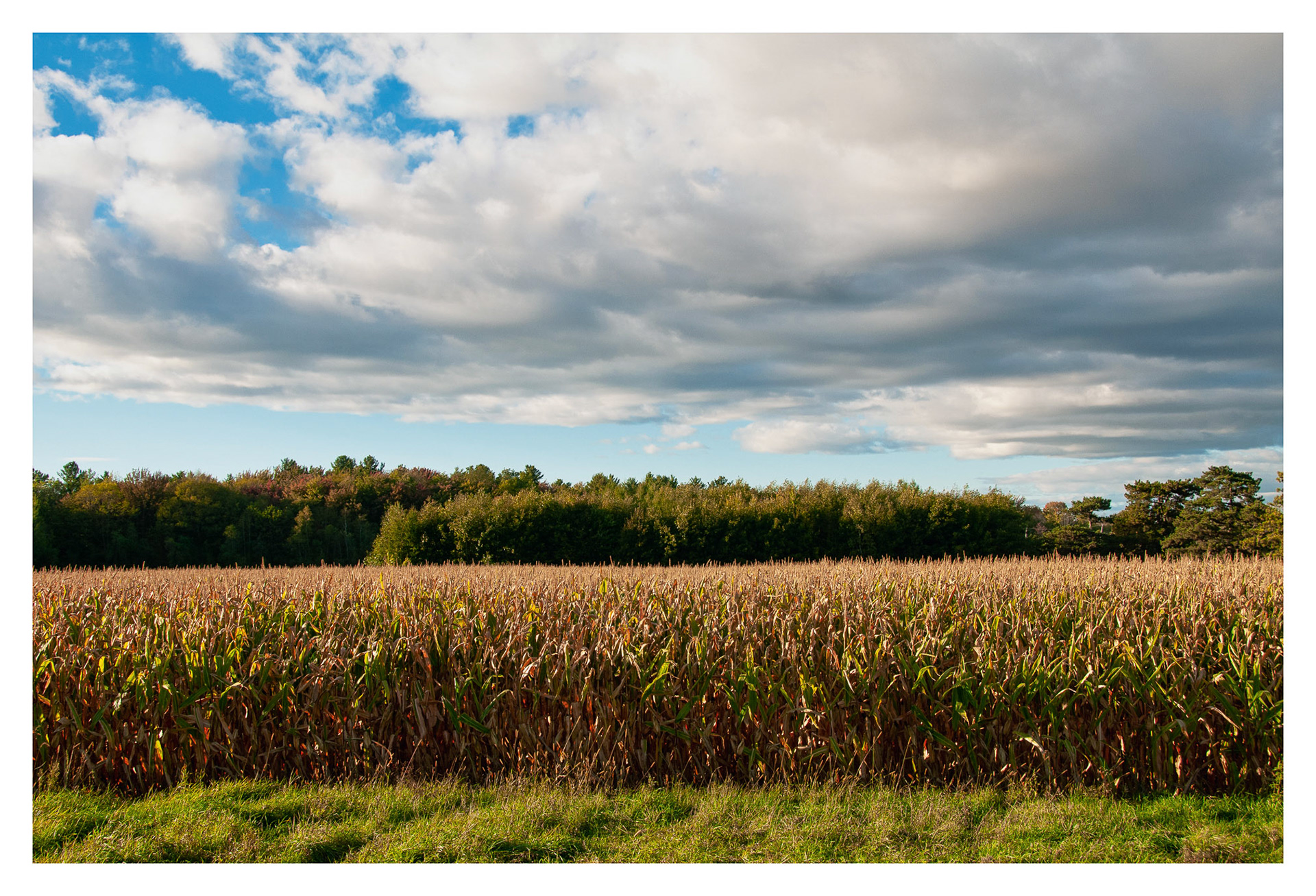 MacDonald College - Saint-Anne-de_Bellevue, QC