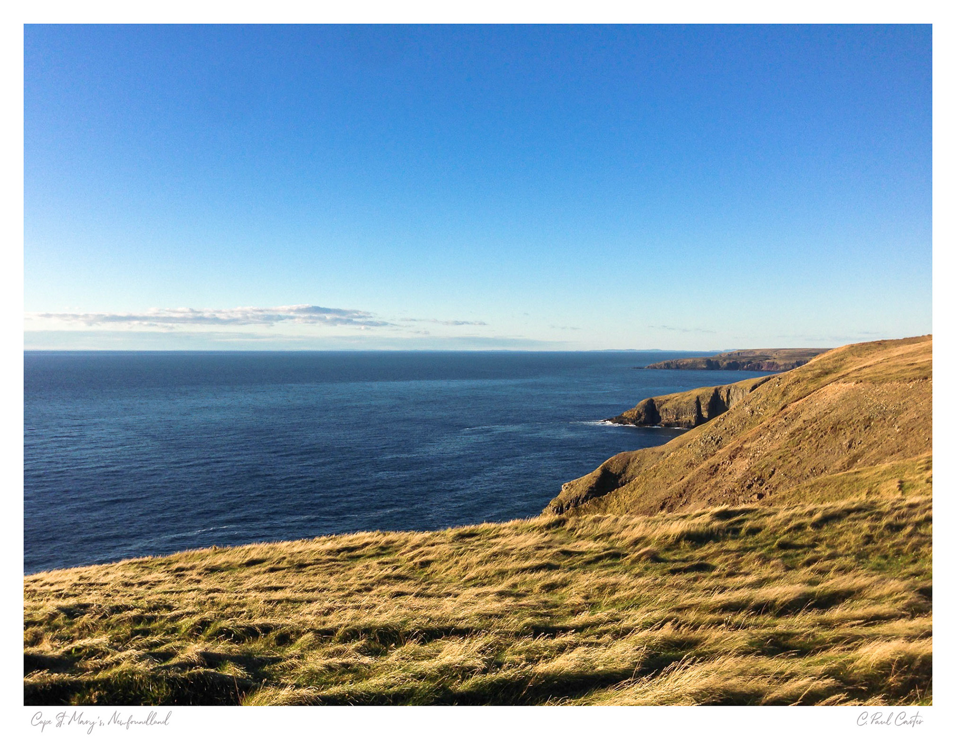 Cape St. Mary's, NL