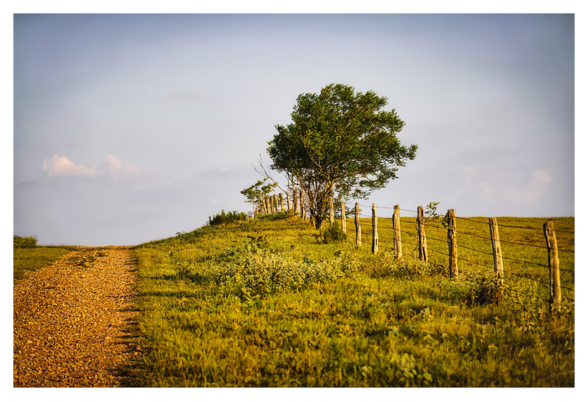 East Texas Farm Road