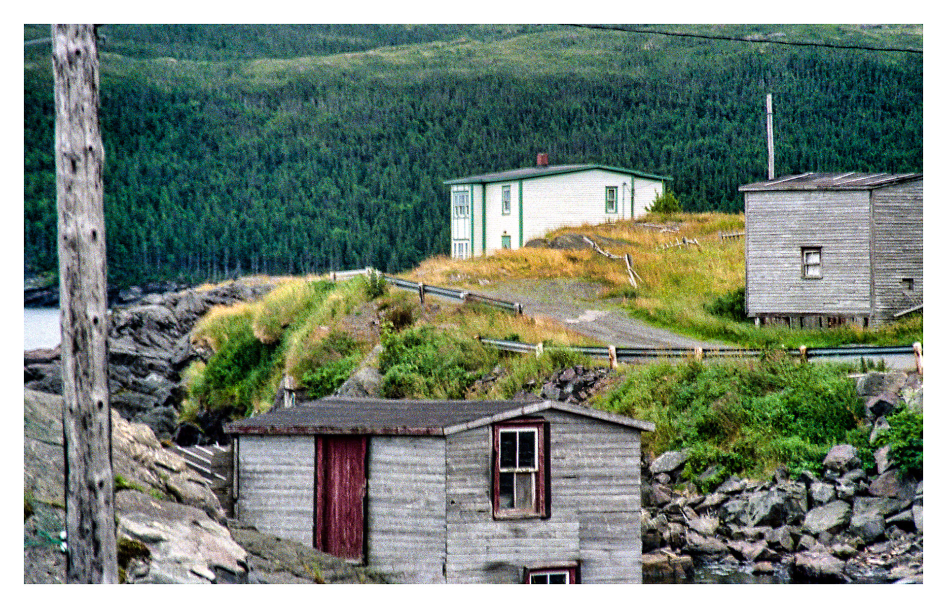 Newfoundland