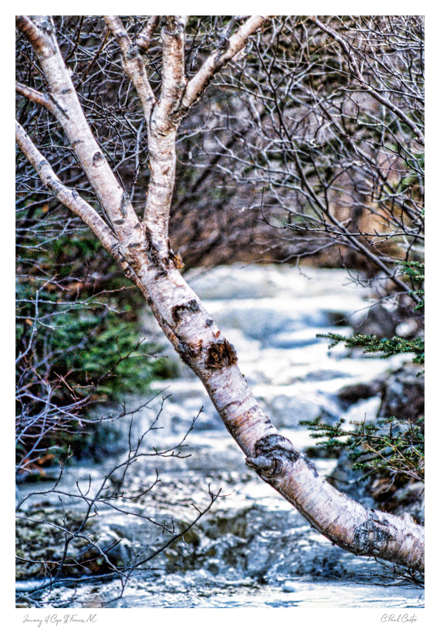 Cape St. Francis, NL