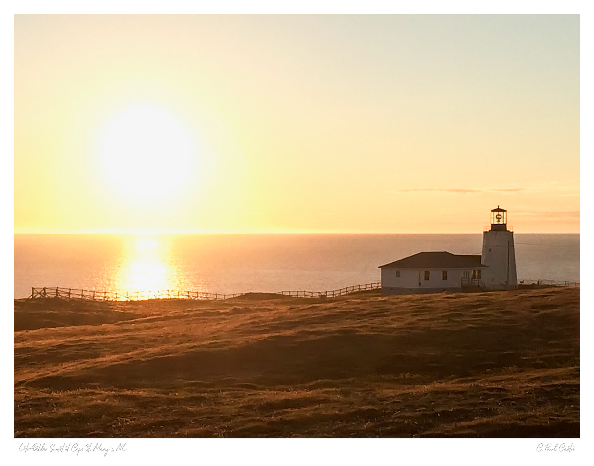 Cape St. Mary's, Newfoundland