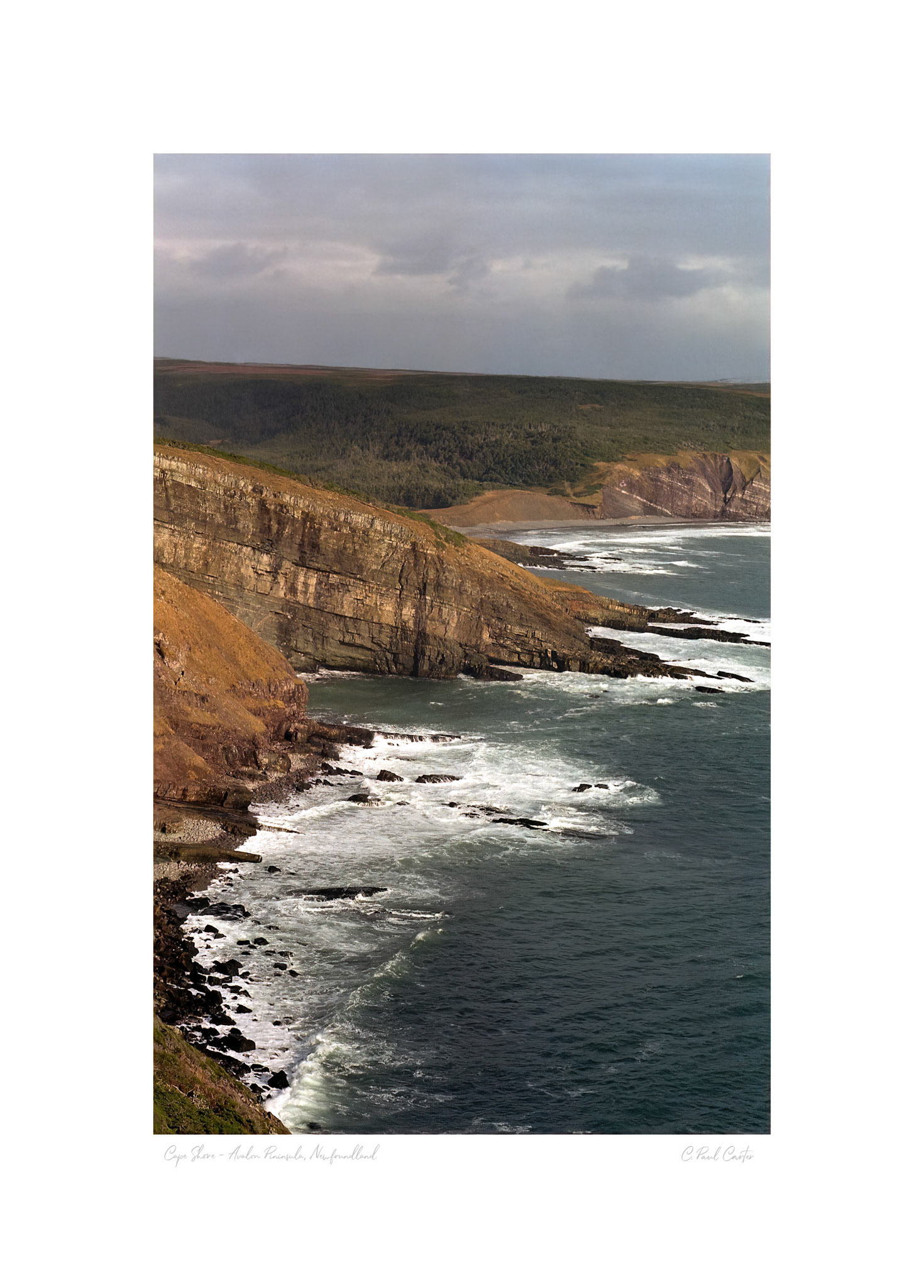 Cape St. Mary's, NL