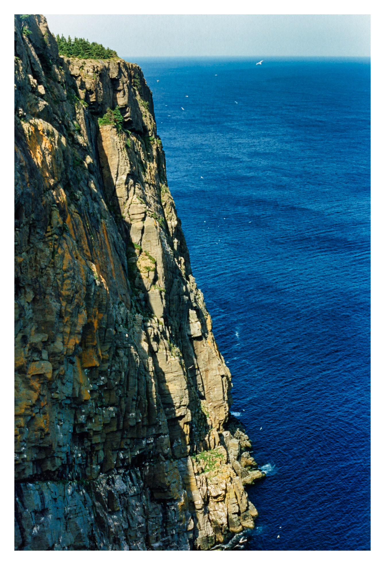 At Torbay Bight, NL