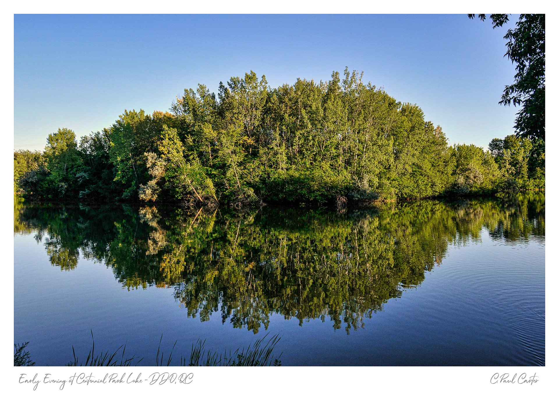 Centenial Park - DDO, QC