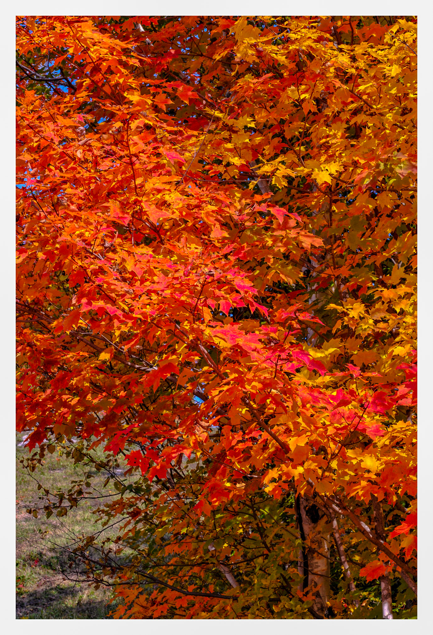 St. Donat, QC