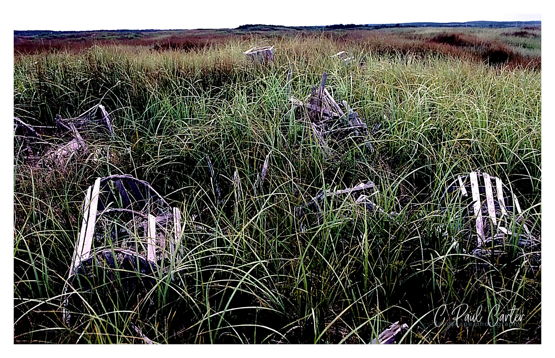 Old Pots - Gambo, NL