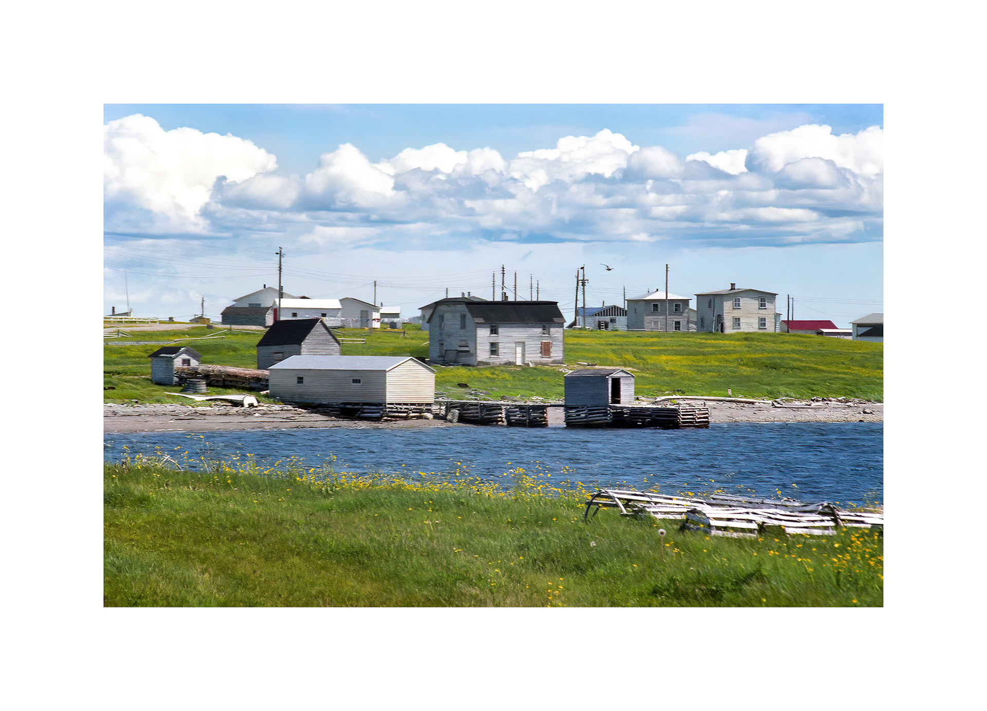 Newfoundland
