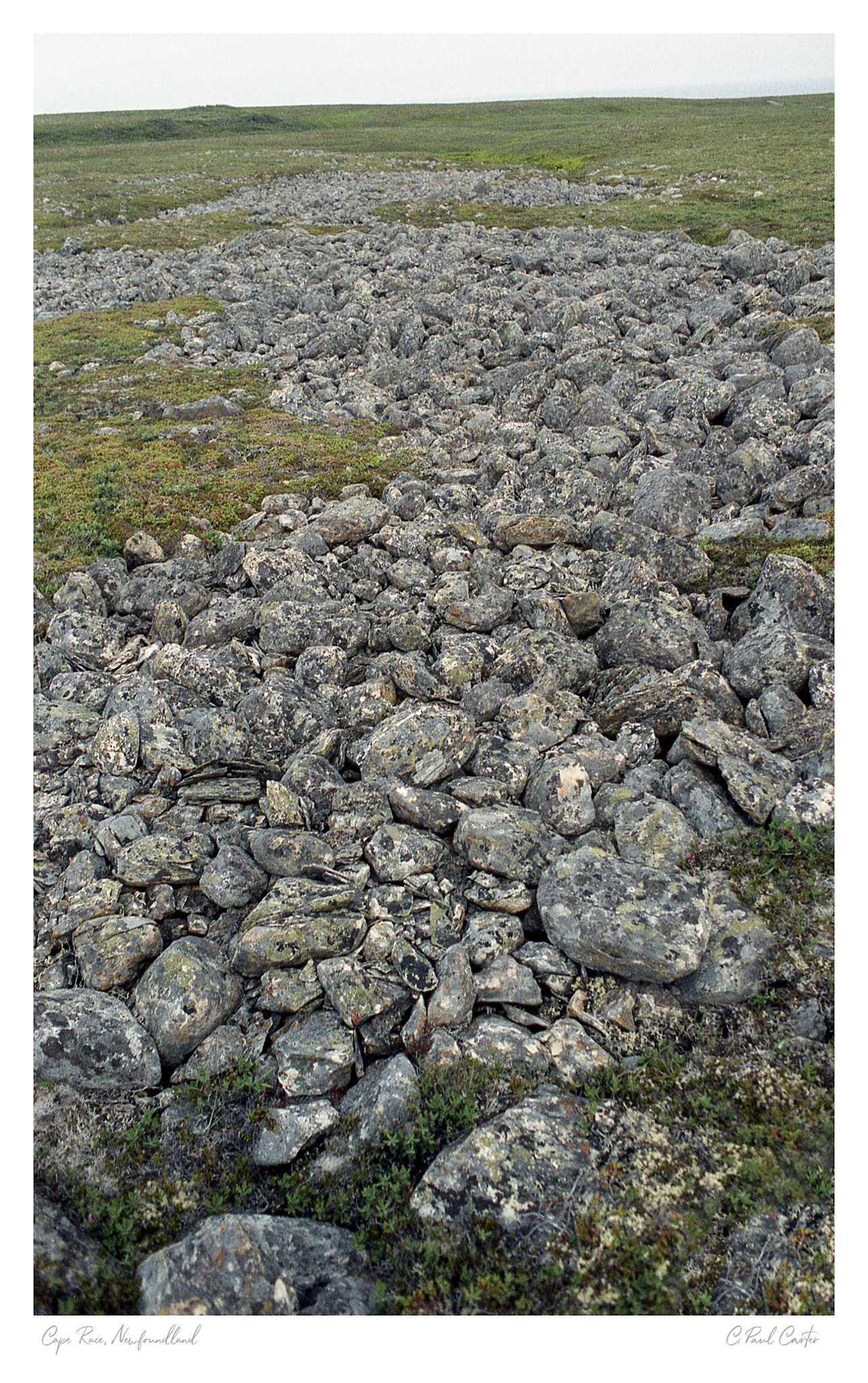 Cape Race, Newfoundland
