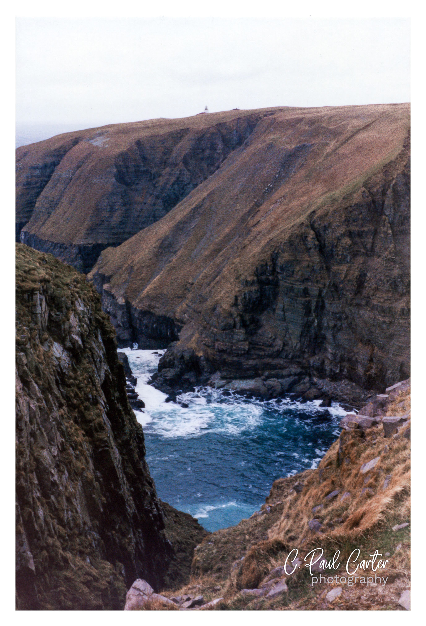 Cape St. Mary's, Newfoundland