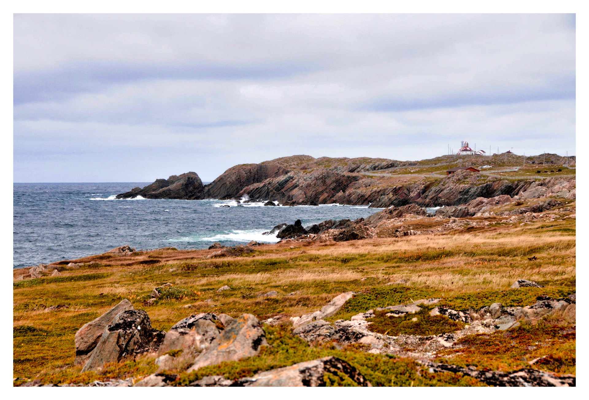 Cape Bonavista, NL - 2016