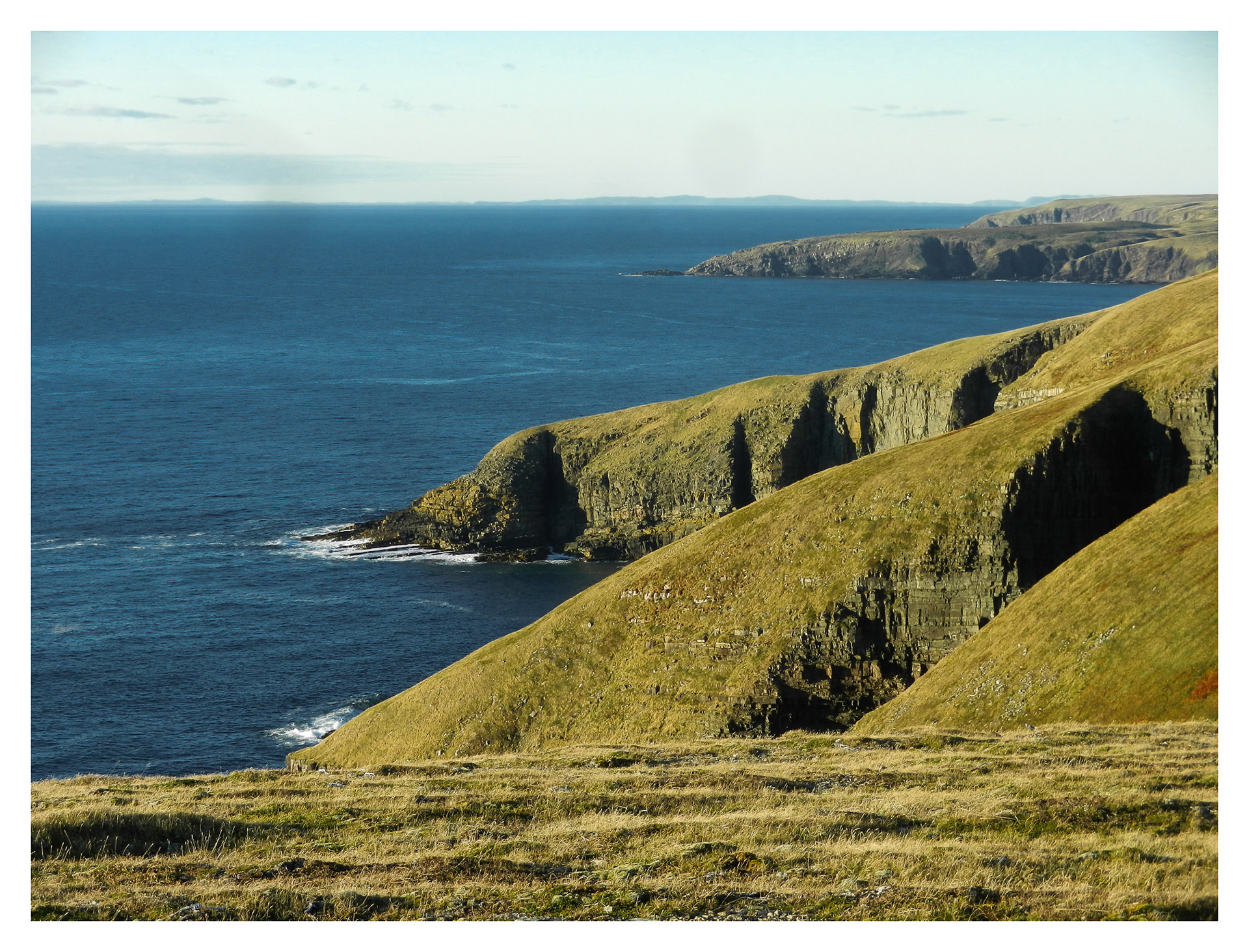 Cape St. Mary's, NL - 2017