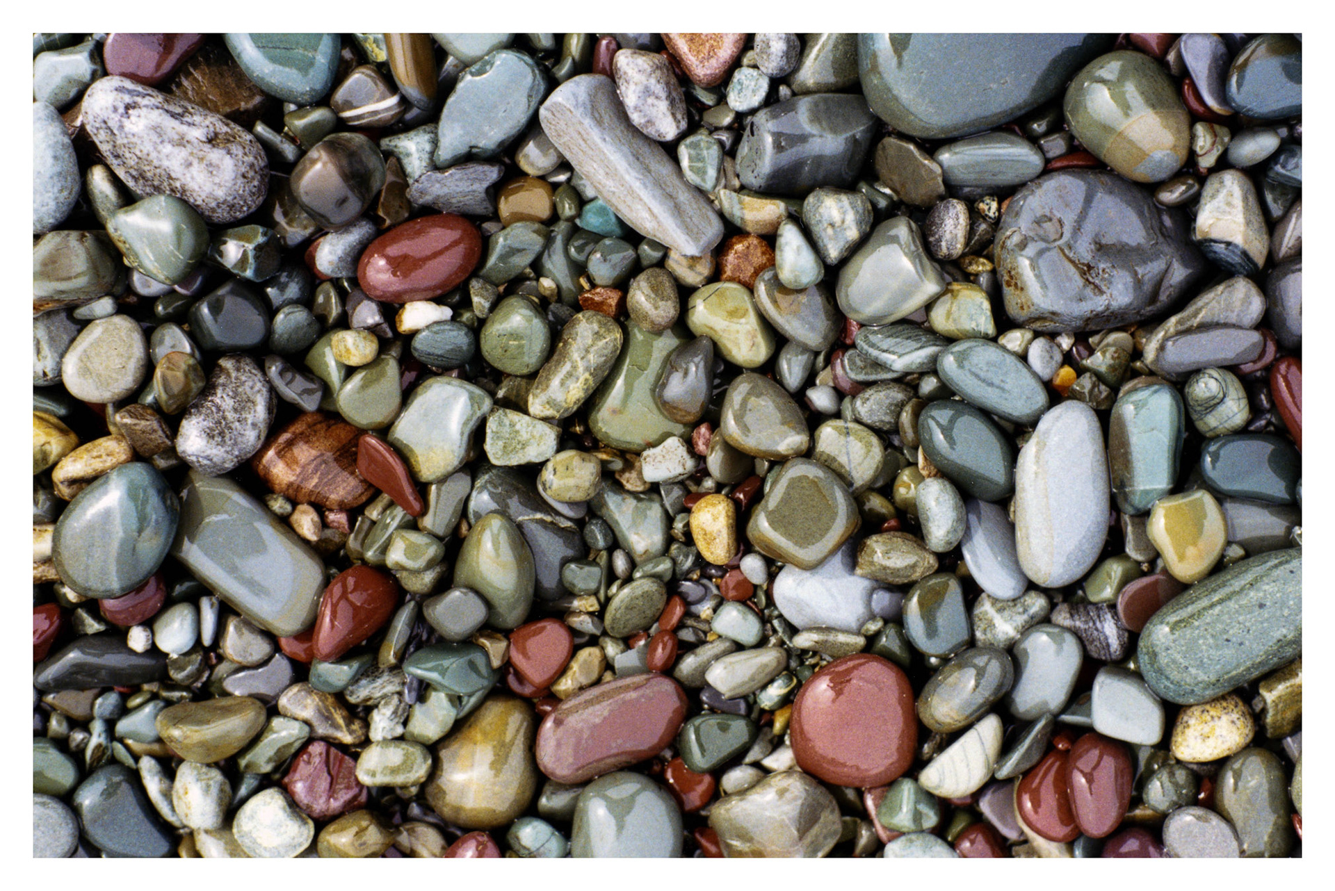 Middle Cove Beach, NL