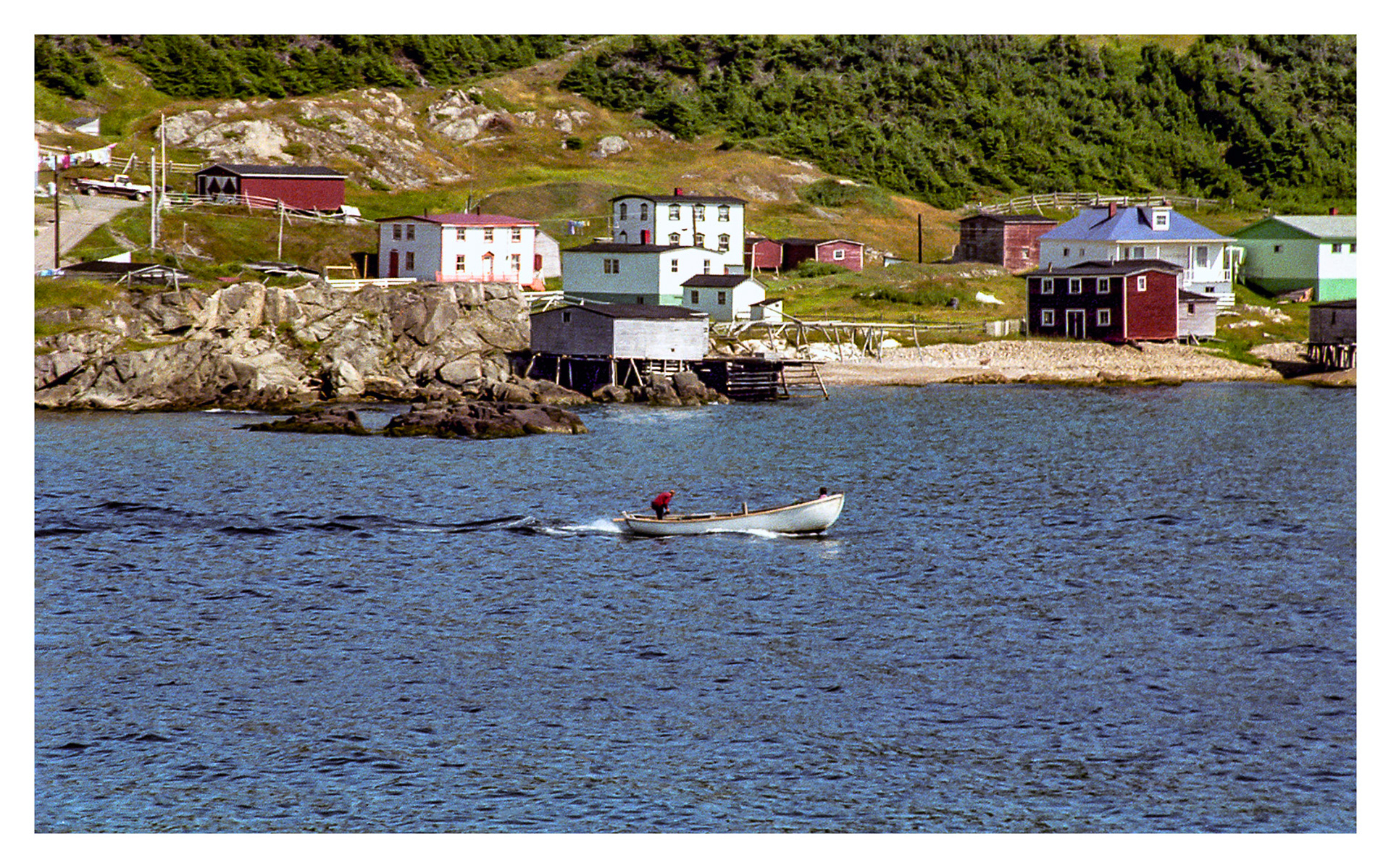 Newfoundland