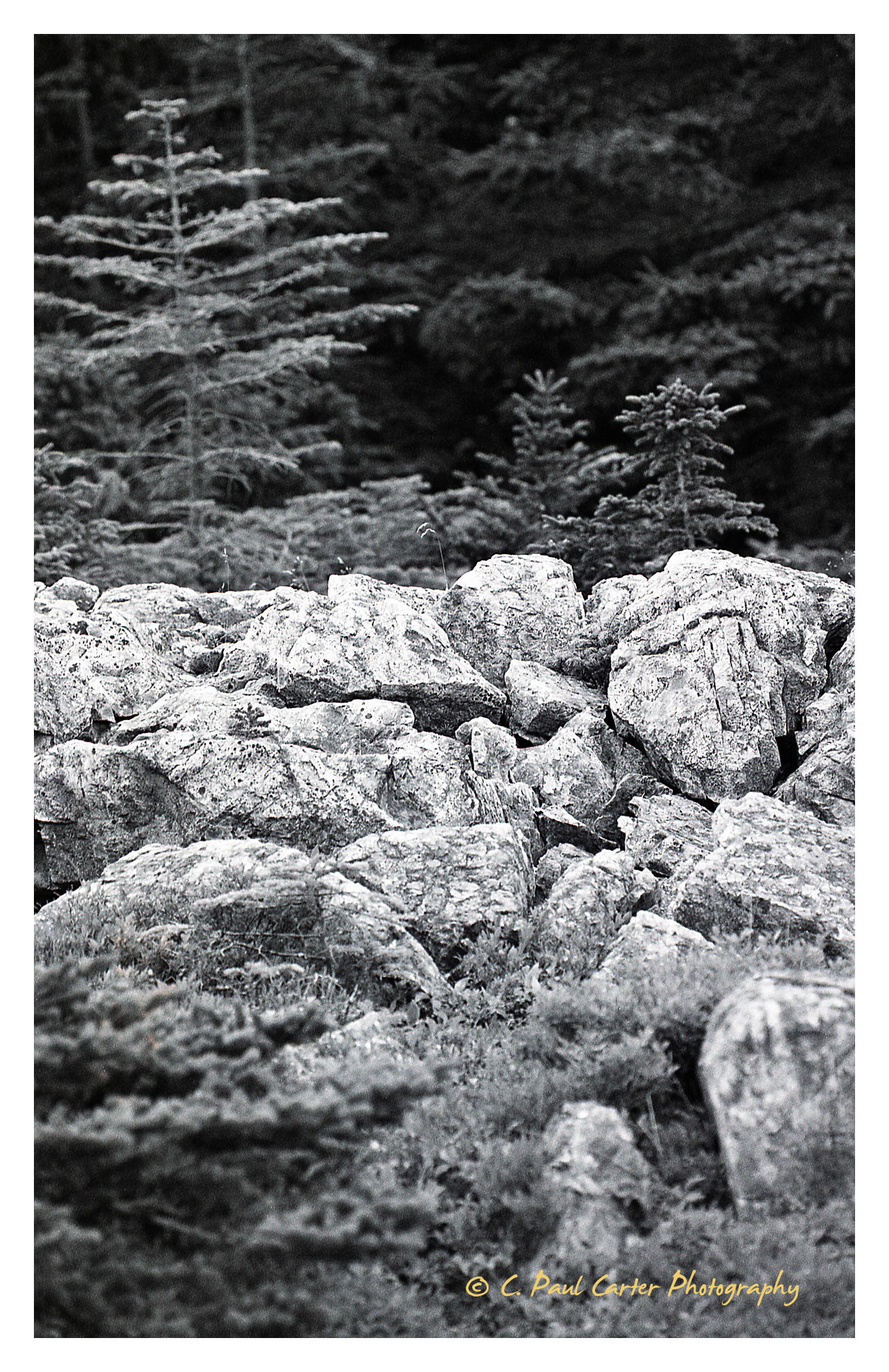 Cape St. Francis, NL - 1997