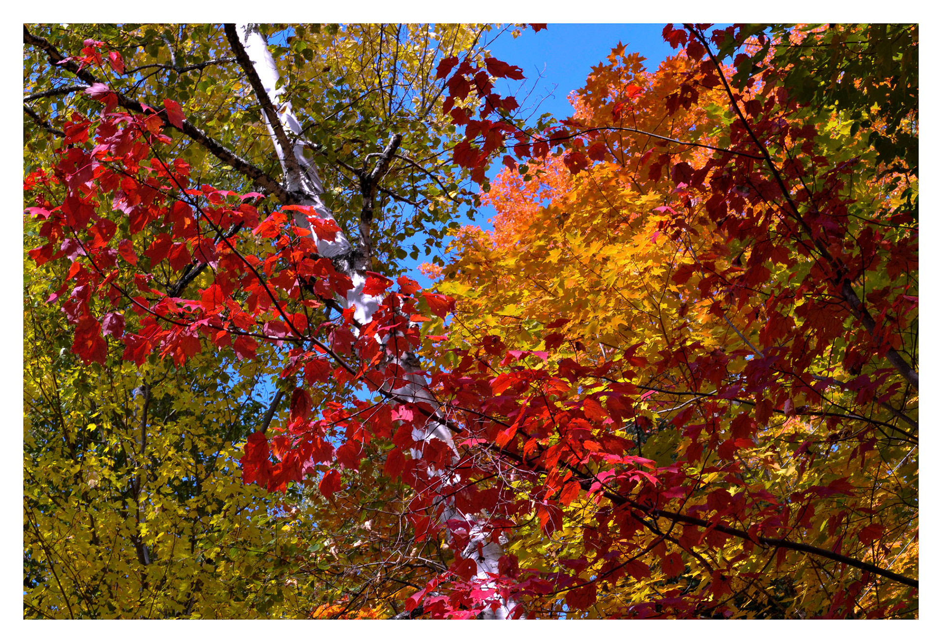 St. Donat, QC