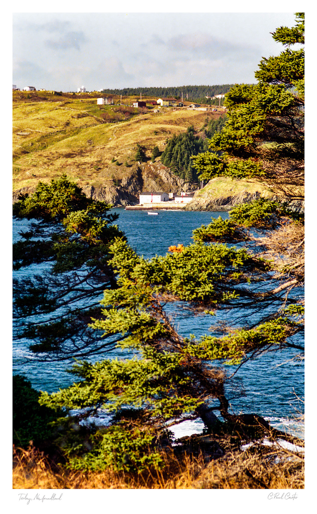 Government Wharf - Torbay, NL
