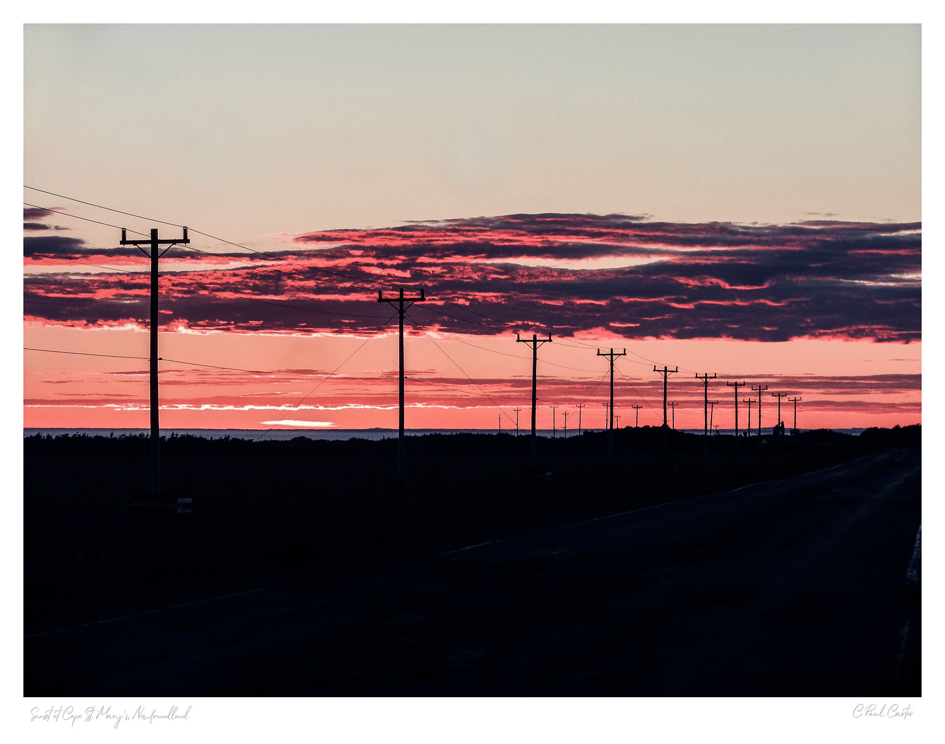 Cape St. Mary's, NL - 2017