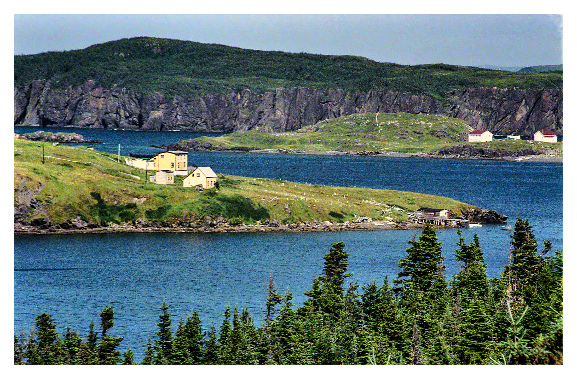 Newfoundland