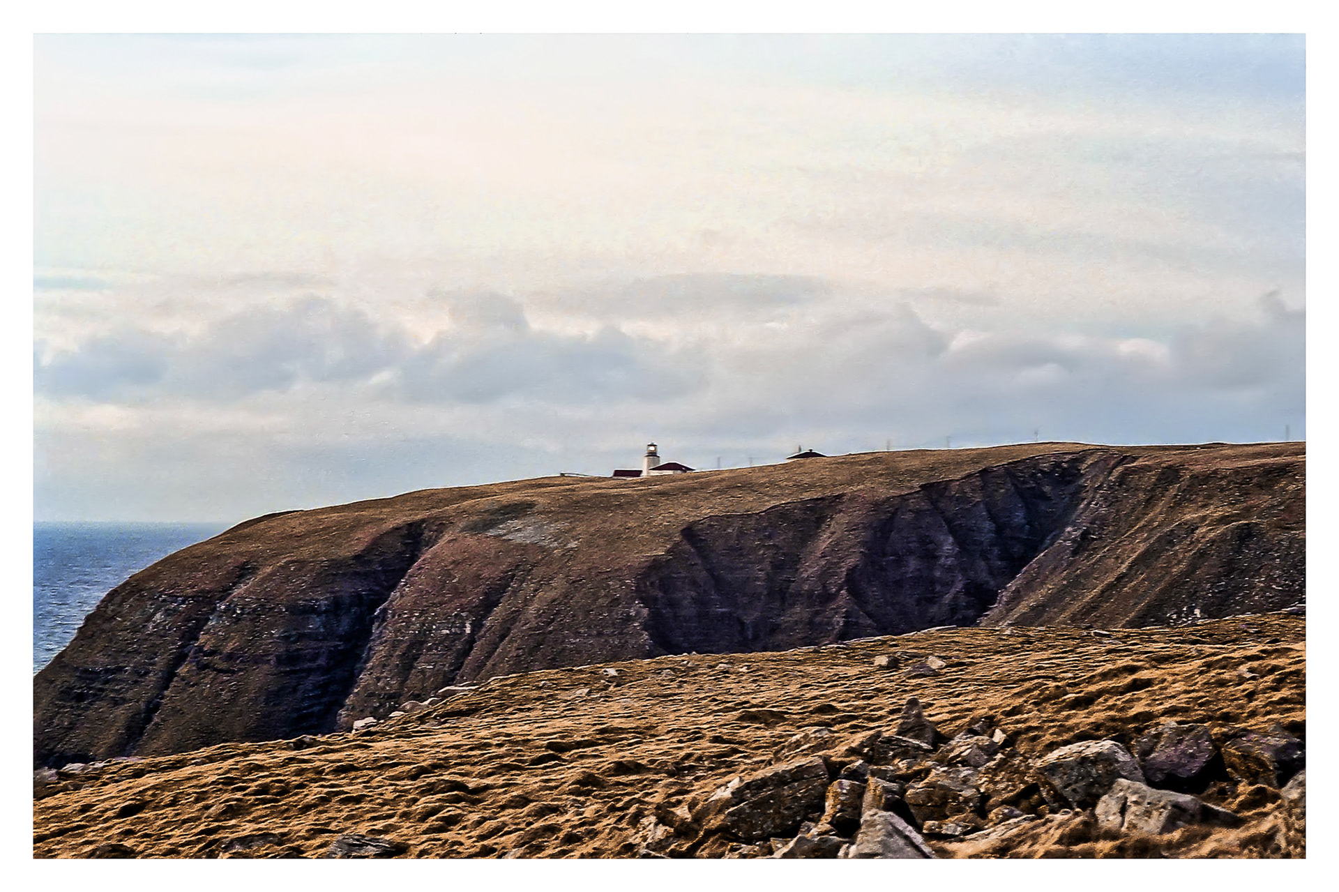 Cape St. Mary's, NL
