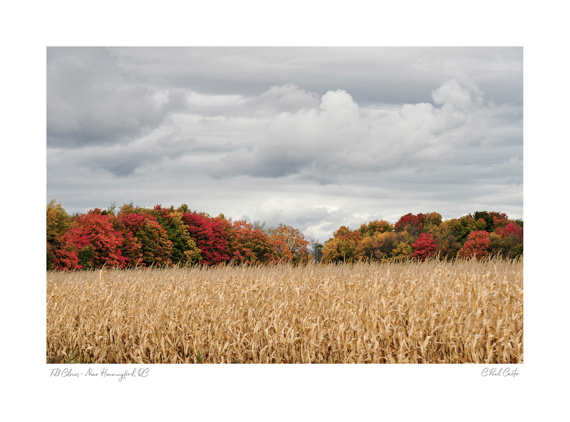 "Fall Colours" - Near Hemingford, QC