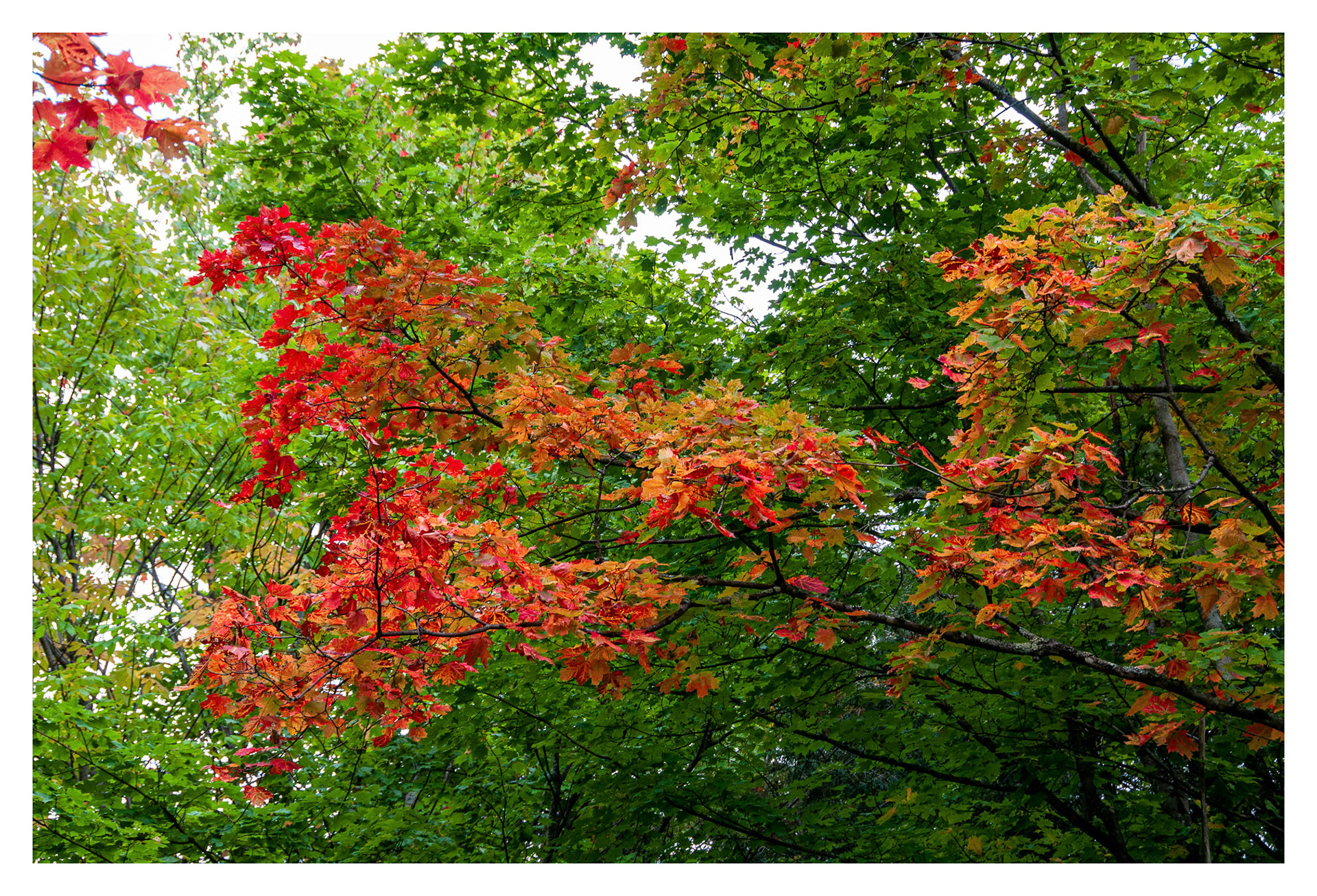 Lake Memphremagog, QC