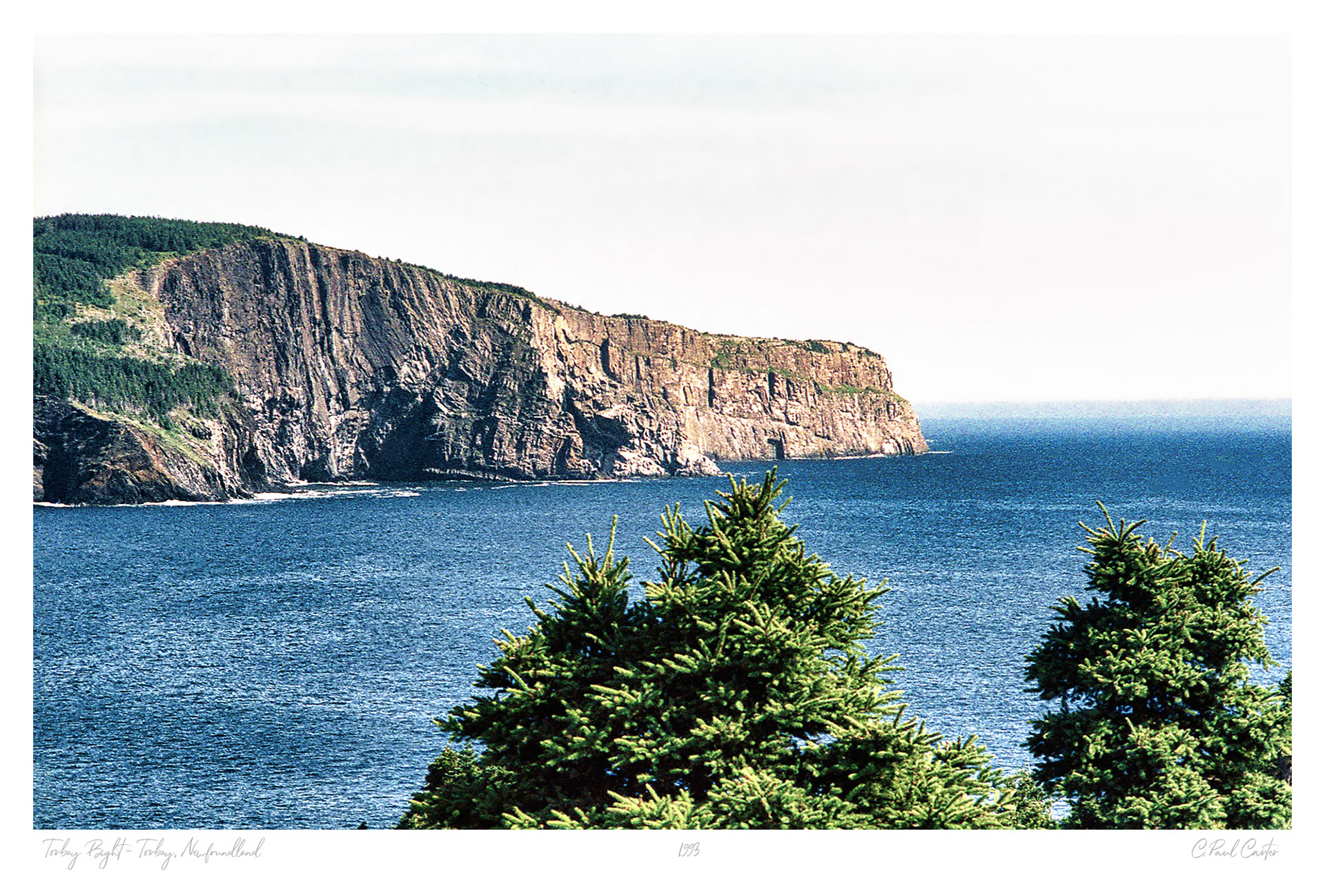 Torbay, NL