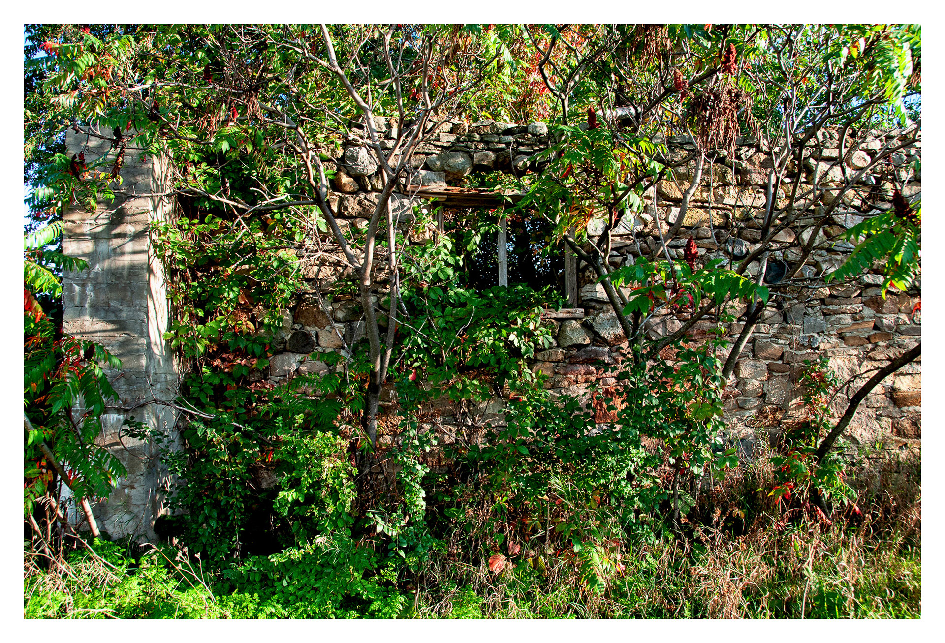 MacDonald College - Saint-Anne-de_Bellevue, QC