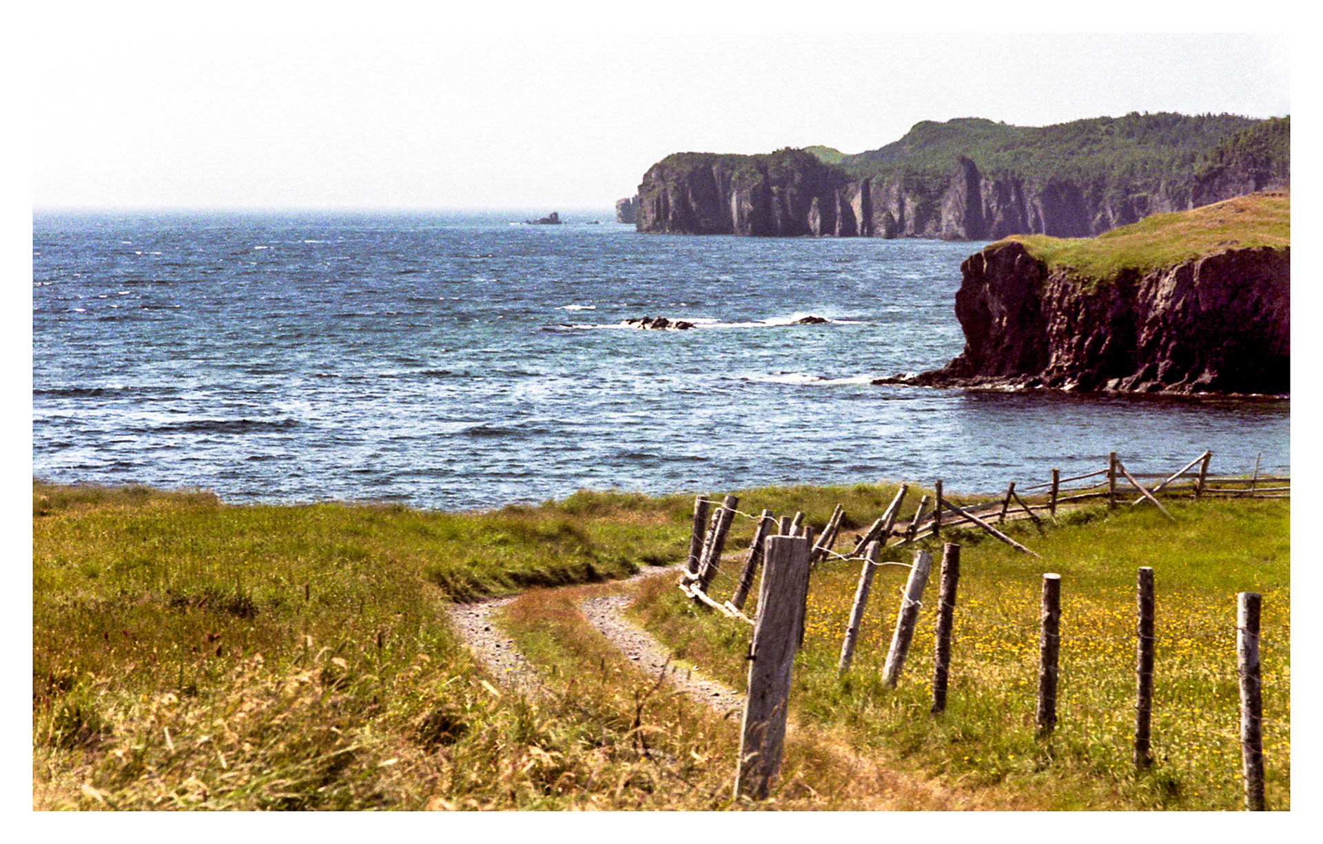 Cape Race, NL