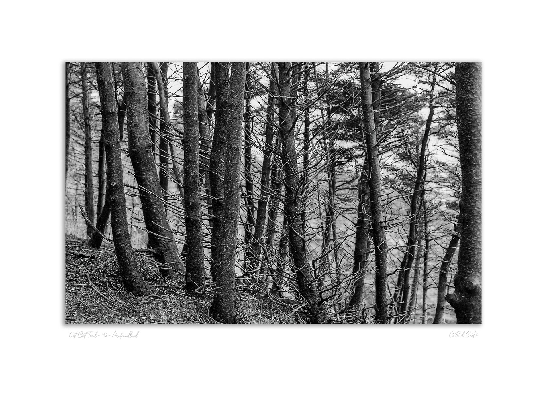 East Coast Trail near Silver Head - 1992