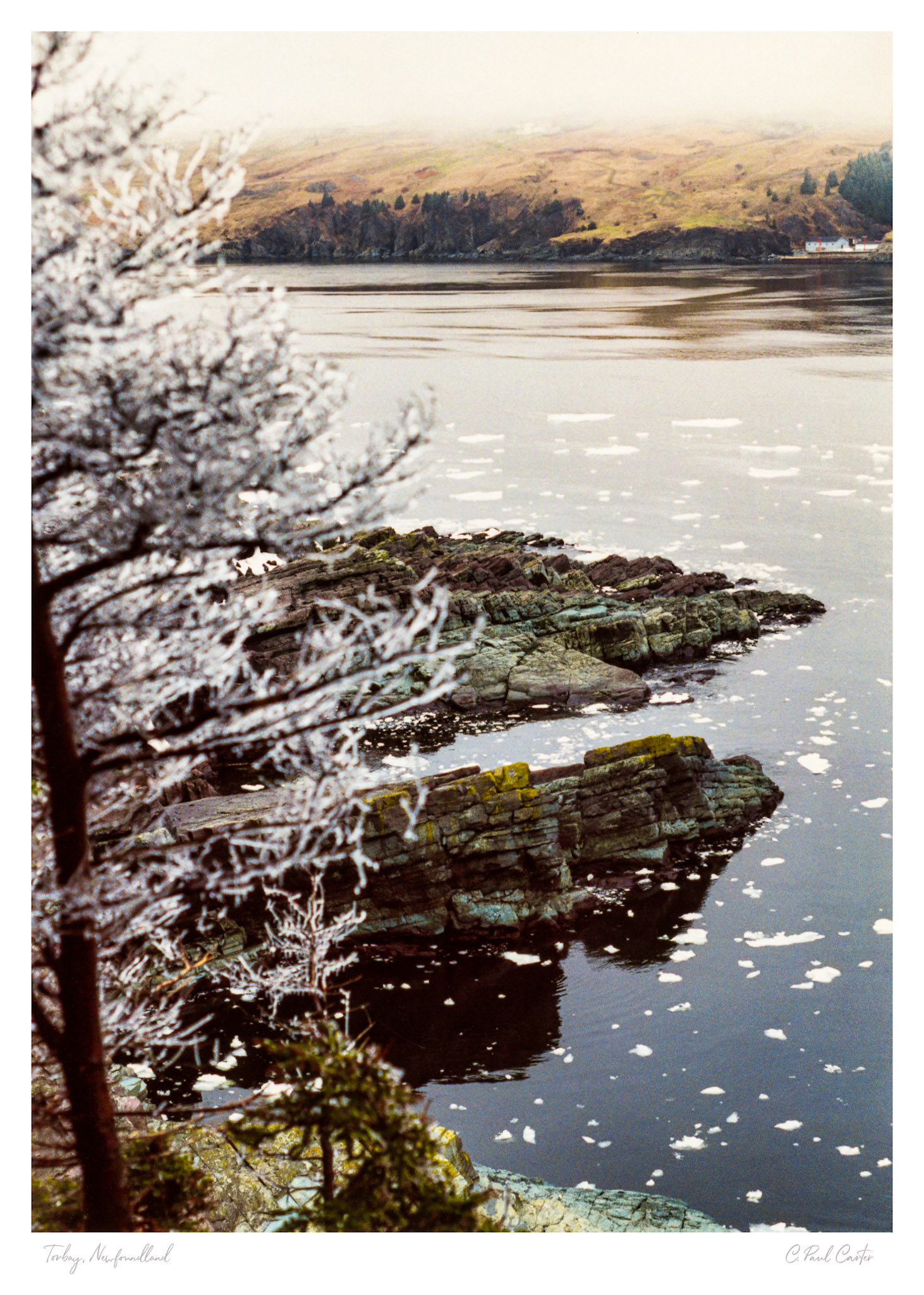 Freezing Fog - Torbay, NL
