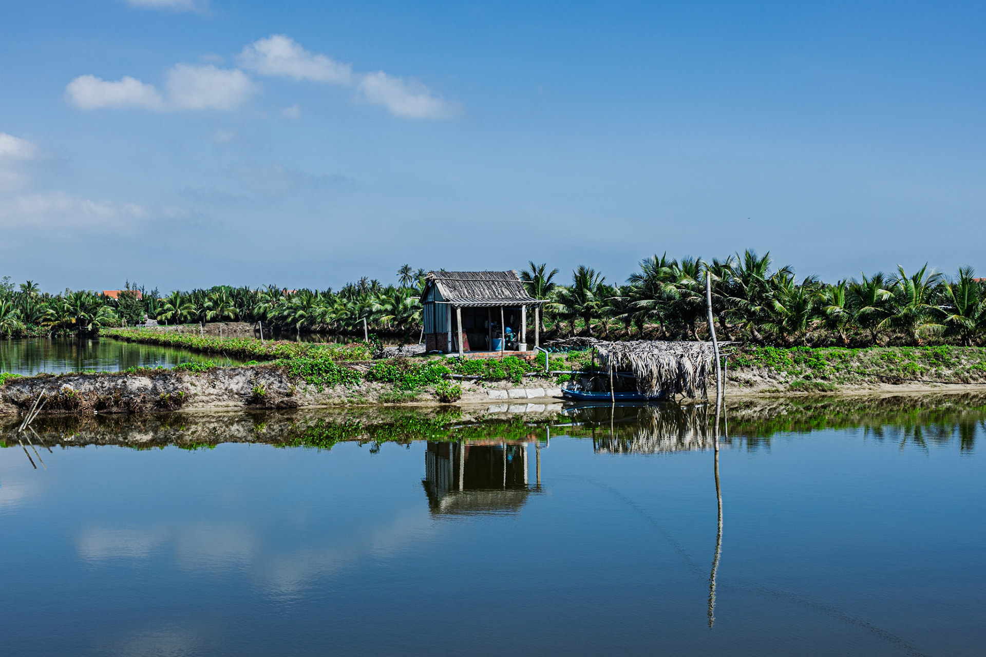 A serene riverbank, where life unfolds against nature's quiet backdrop