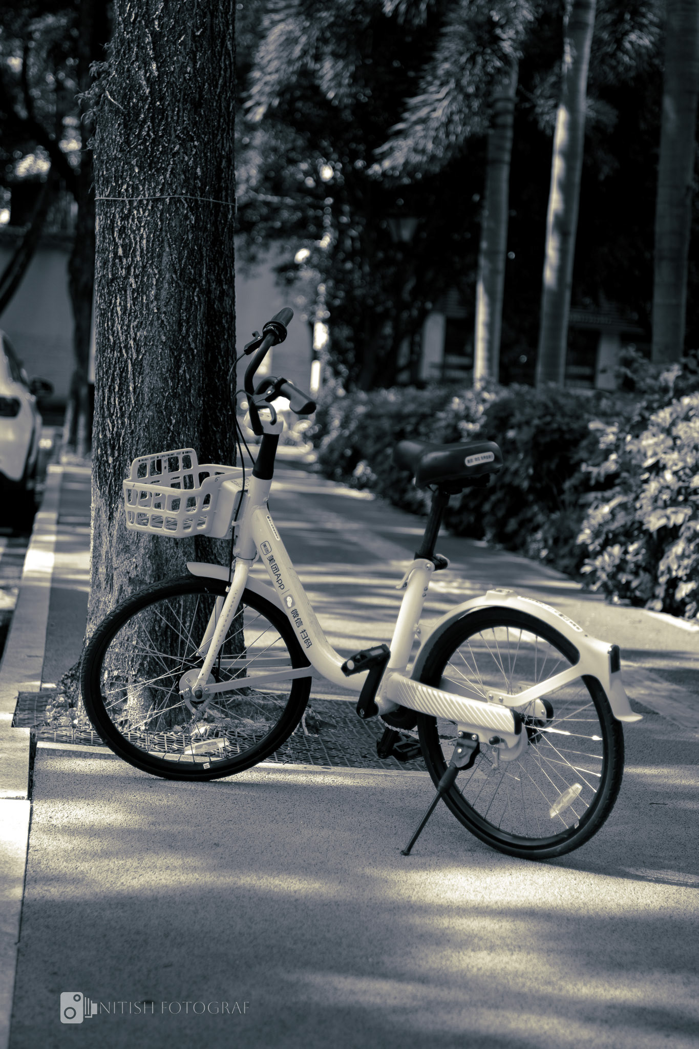 Minimalist motion – where simplicity meets the open road