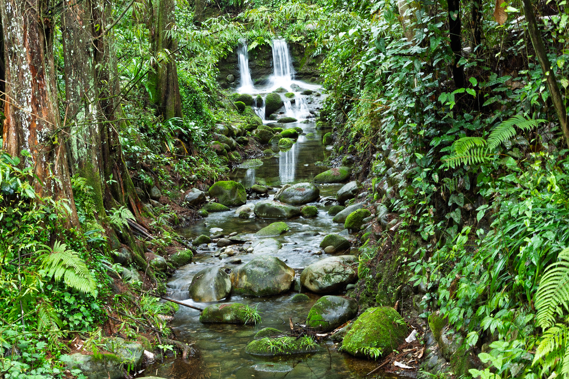 A cascading waterfall hidden within the lush embrace of nature