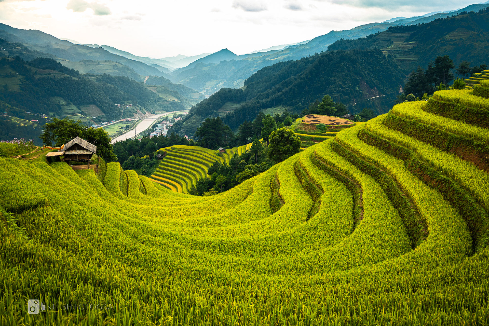 Terraced fields rolling like waves through an emerald valley