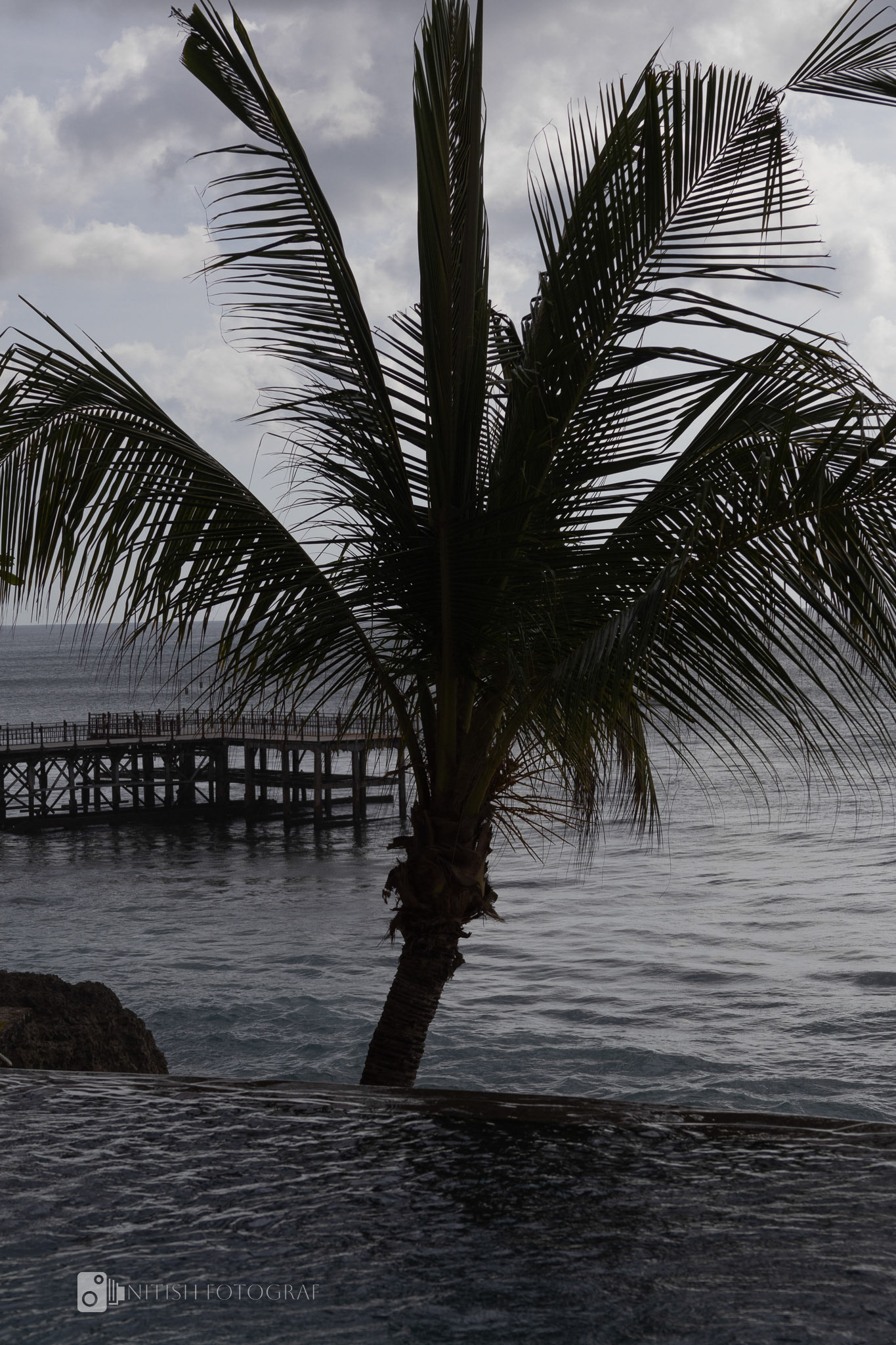 A lone guardian of the shore – where the breeze whispers untold stories