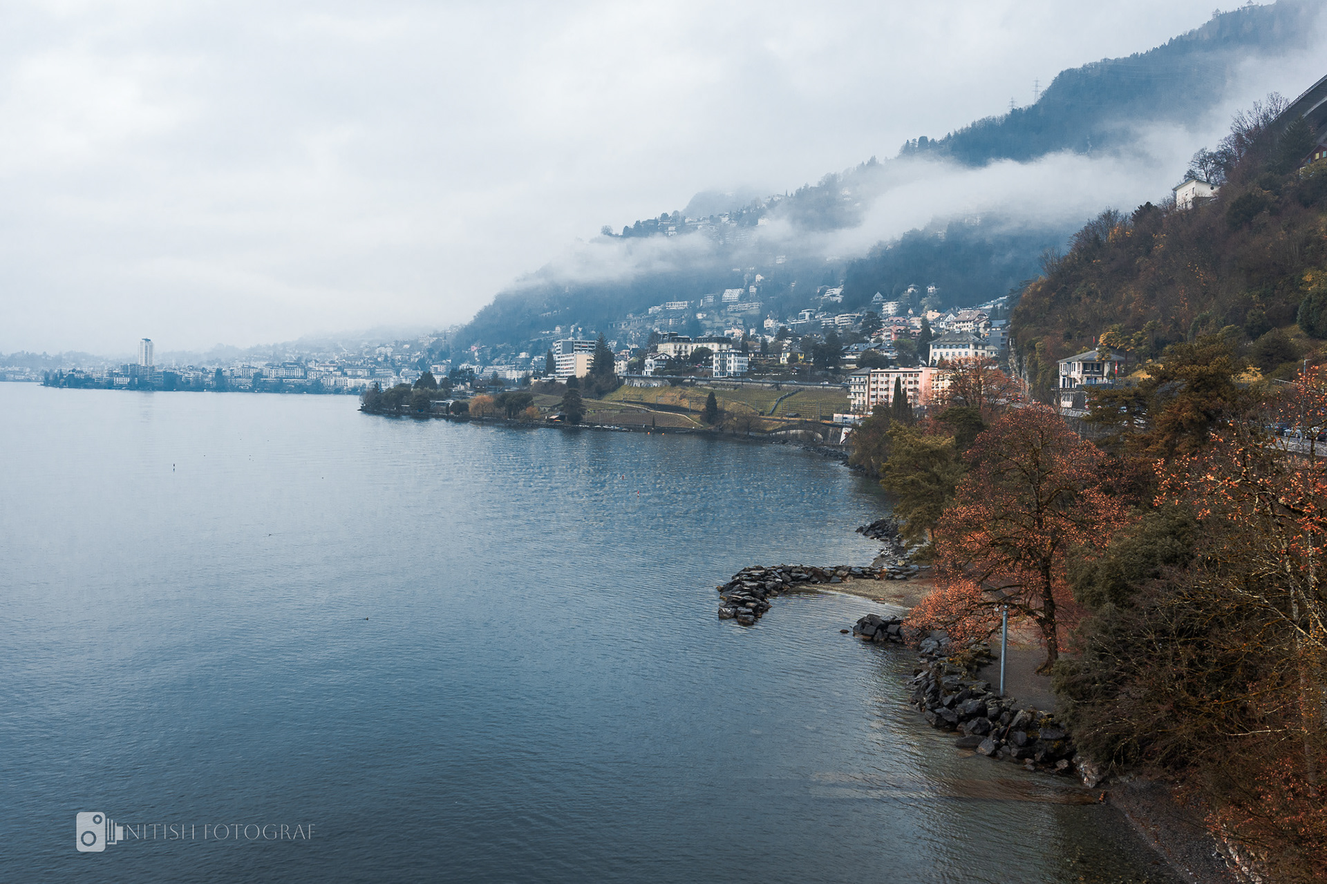 Soft mist and gentle ripples define the quiet charm of a riverside morning