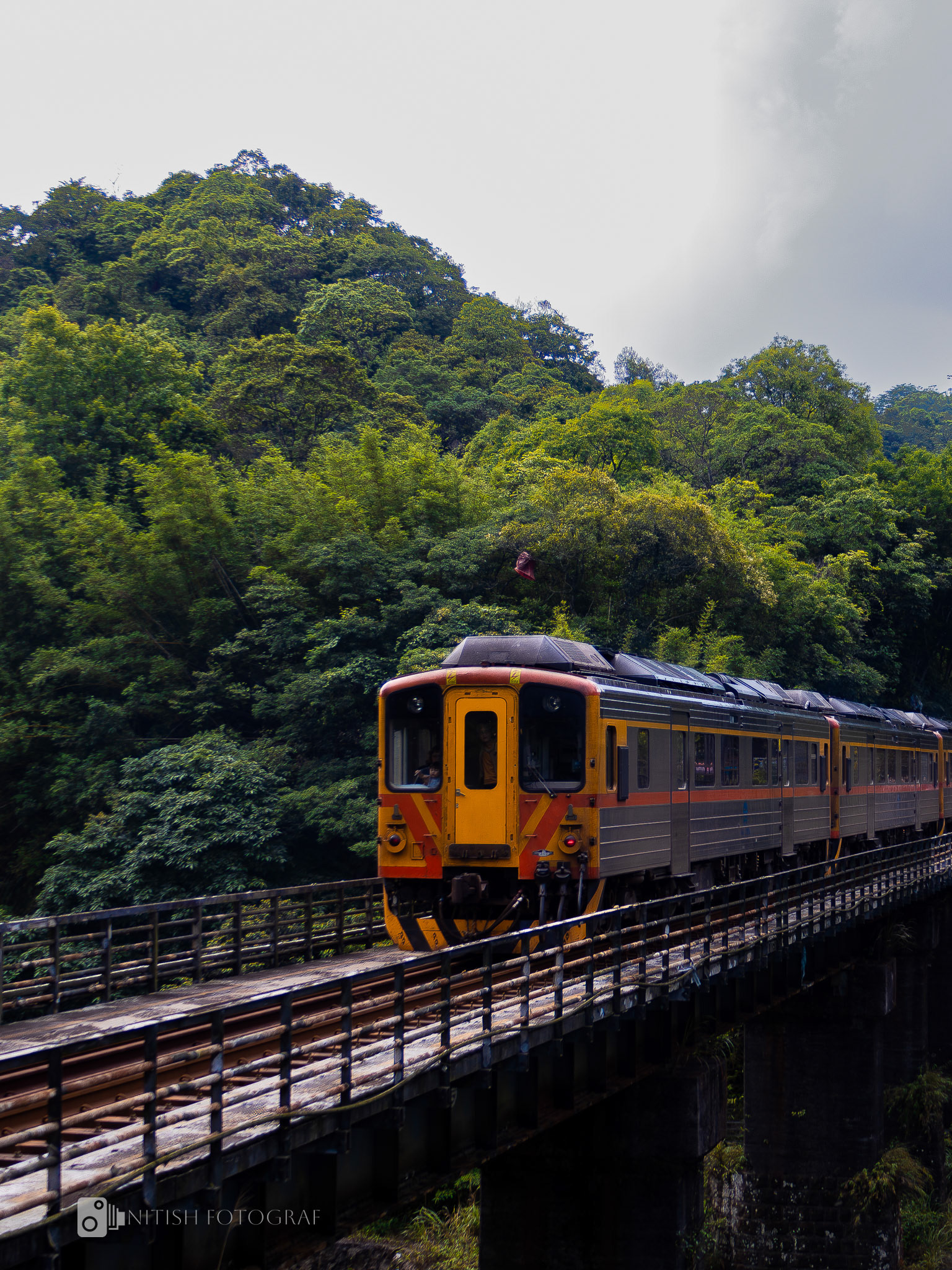 On track through nature – where urban life meets green horizons